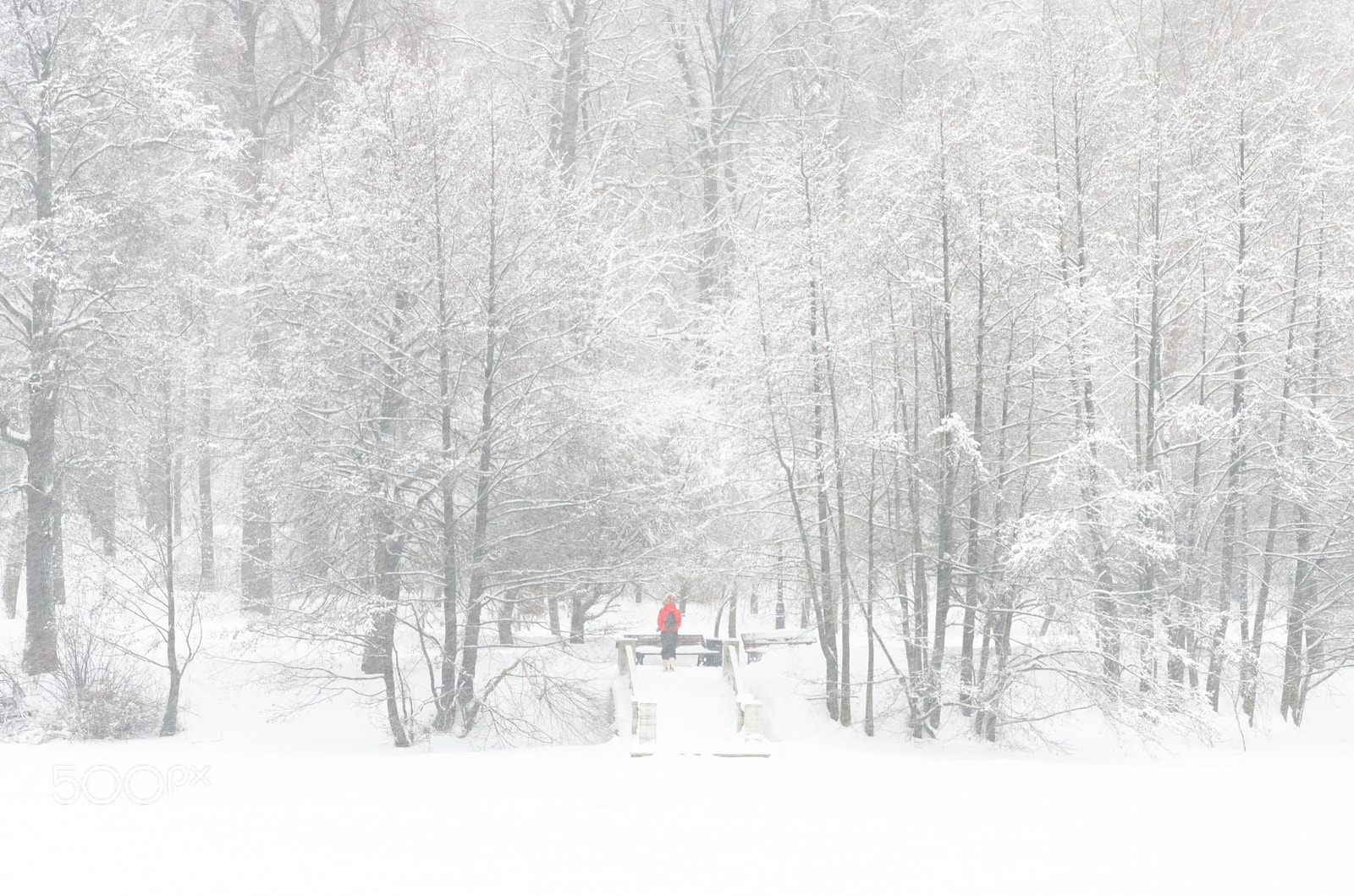 Nikon D5100 sample photo. White and red photography