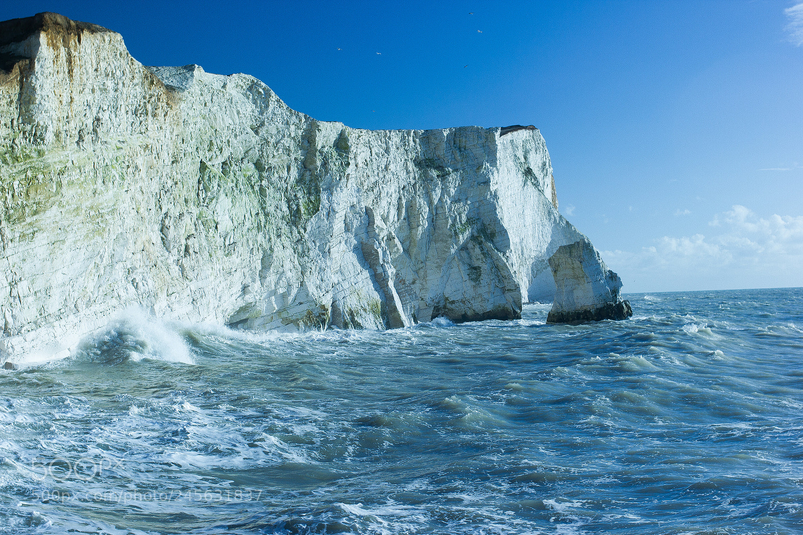 Canon EOS 550D (EOS Rebel T2i / EOS Kiss X4) sample photo. Seaford photography