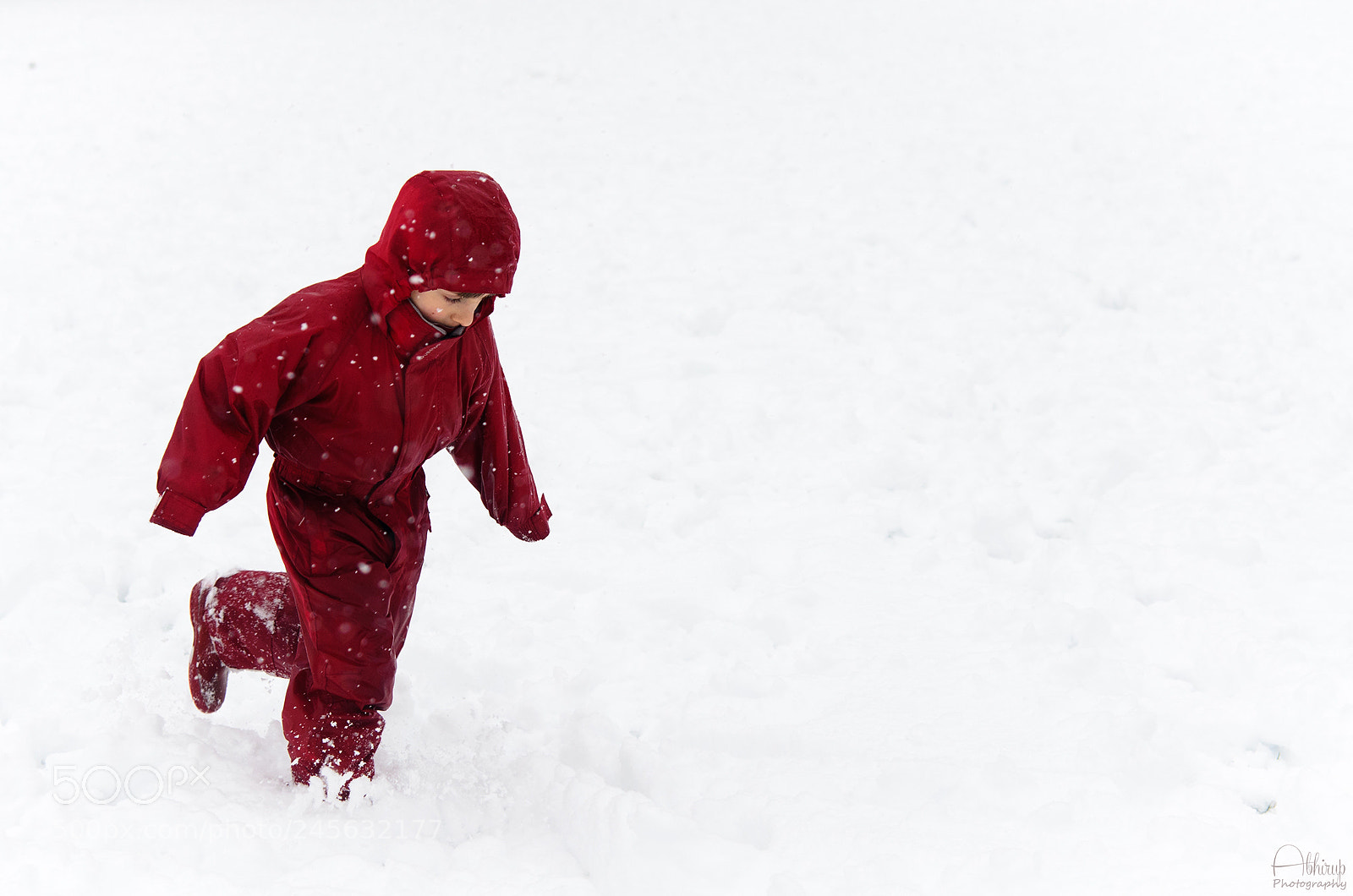Nikon D5100 sample photo. Little red riding hood photography