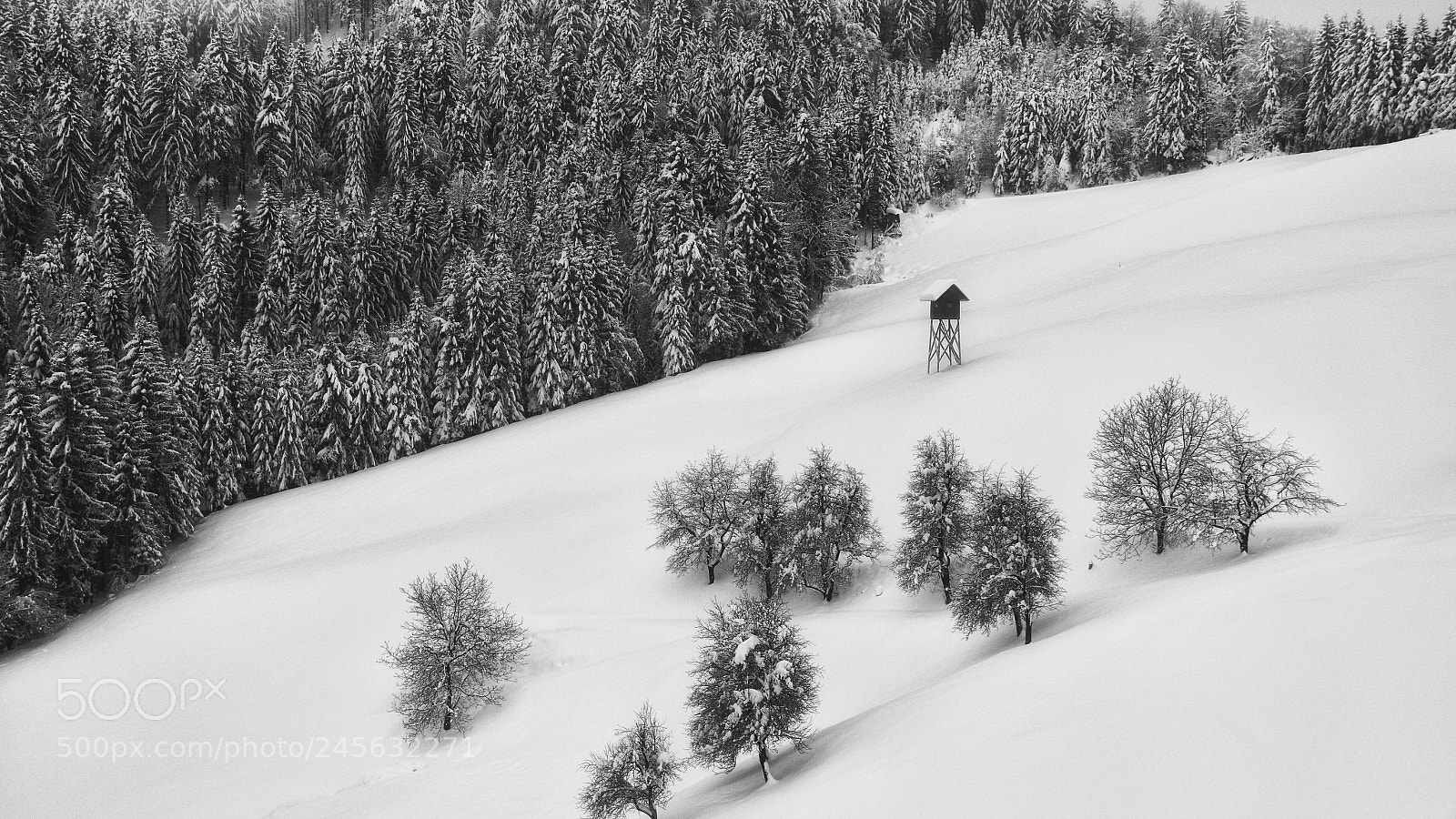 Pentax K-50 sample photo. Winters simplicity photography