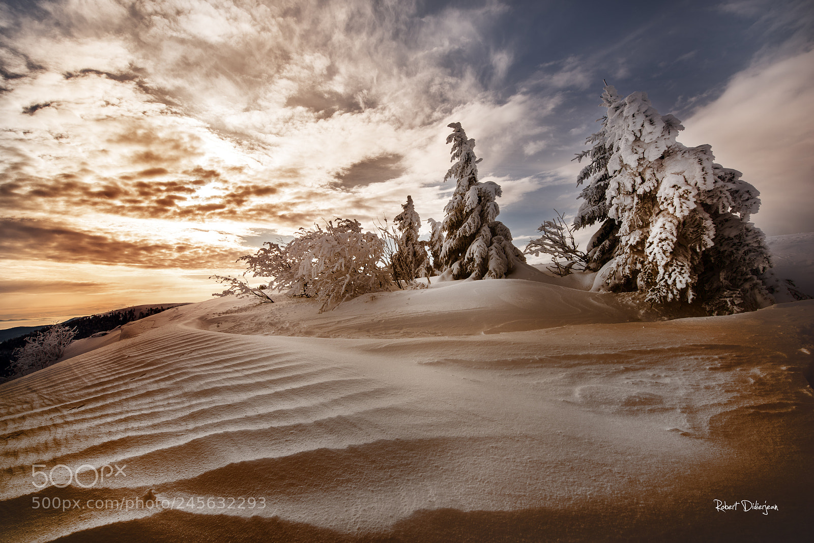 Nikon D810 sample photo. Snow waves at morning photography