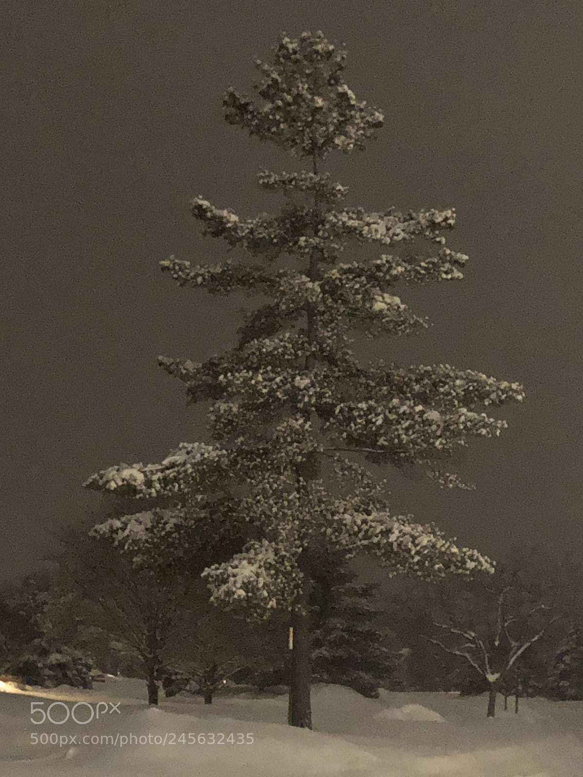 Apple iPhone X sample photo. Untitled photography