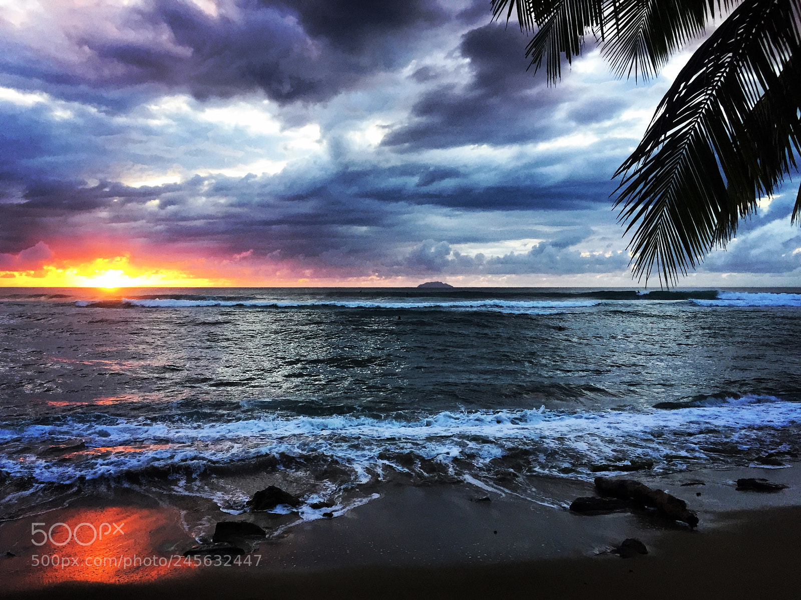 Apple iPhone 6 sample photo. Caribbean fire photography