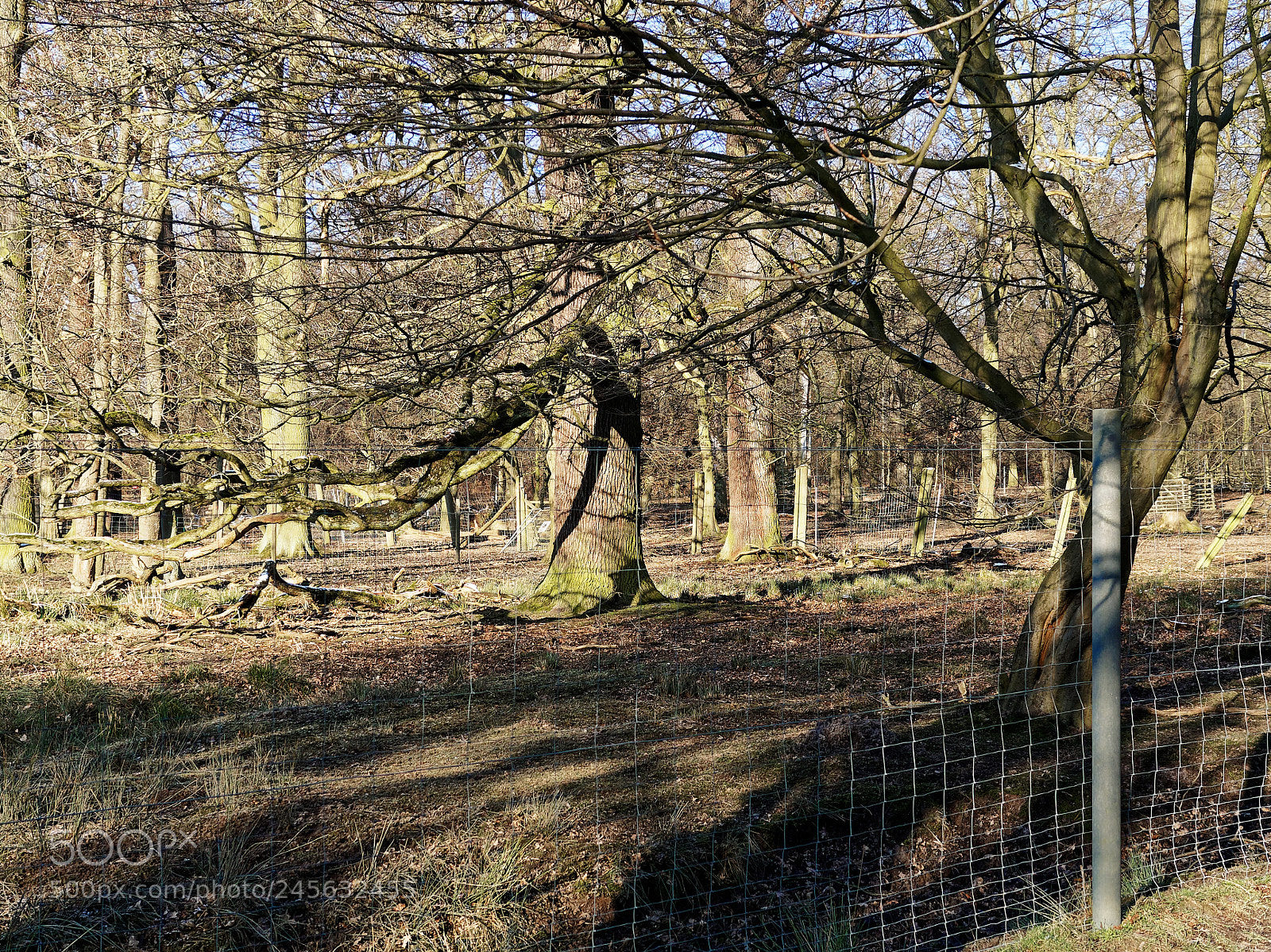 Olympus OM-D E-M5 sample photo. Bs-riddagshausen, tiergehege photography