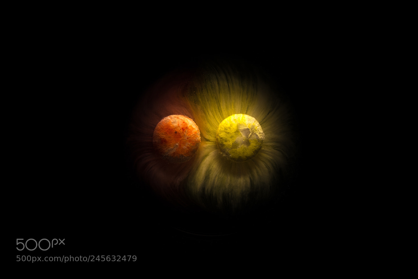 Nikon D5200 sample photo. Red vs yellow rot photography