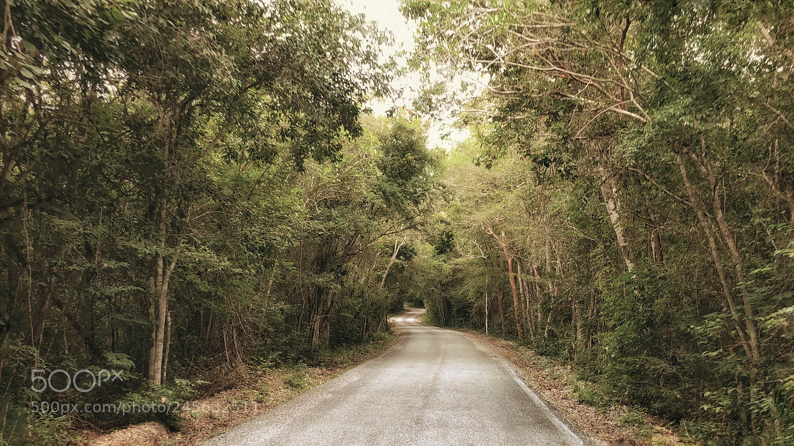 Apple iPhone 8 Plus sample photo. Road photography