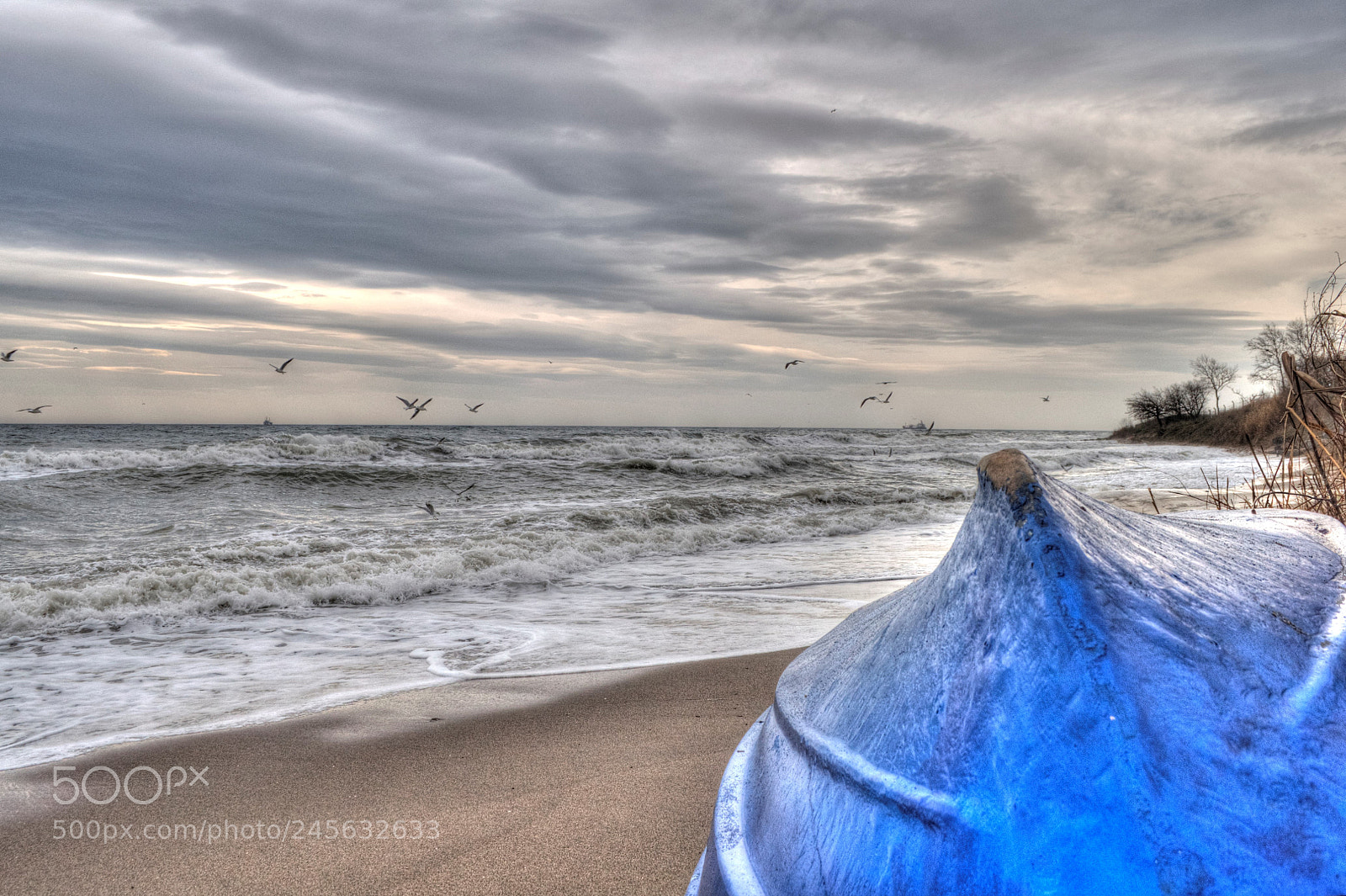 Nikon D5000 sample photo. Painterly photography
