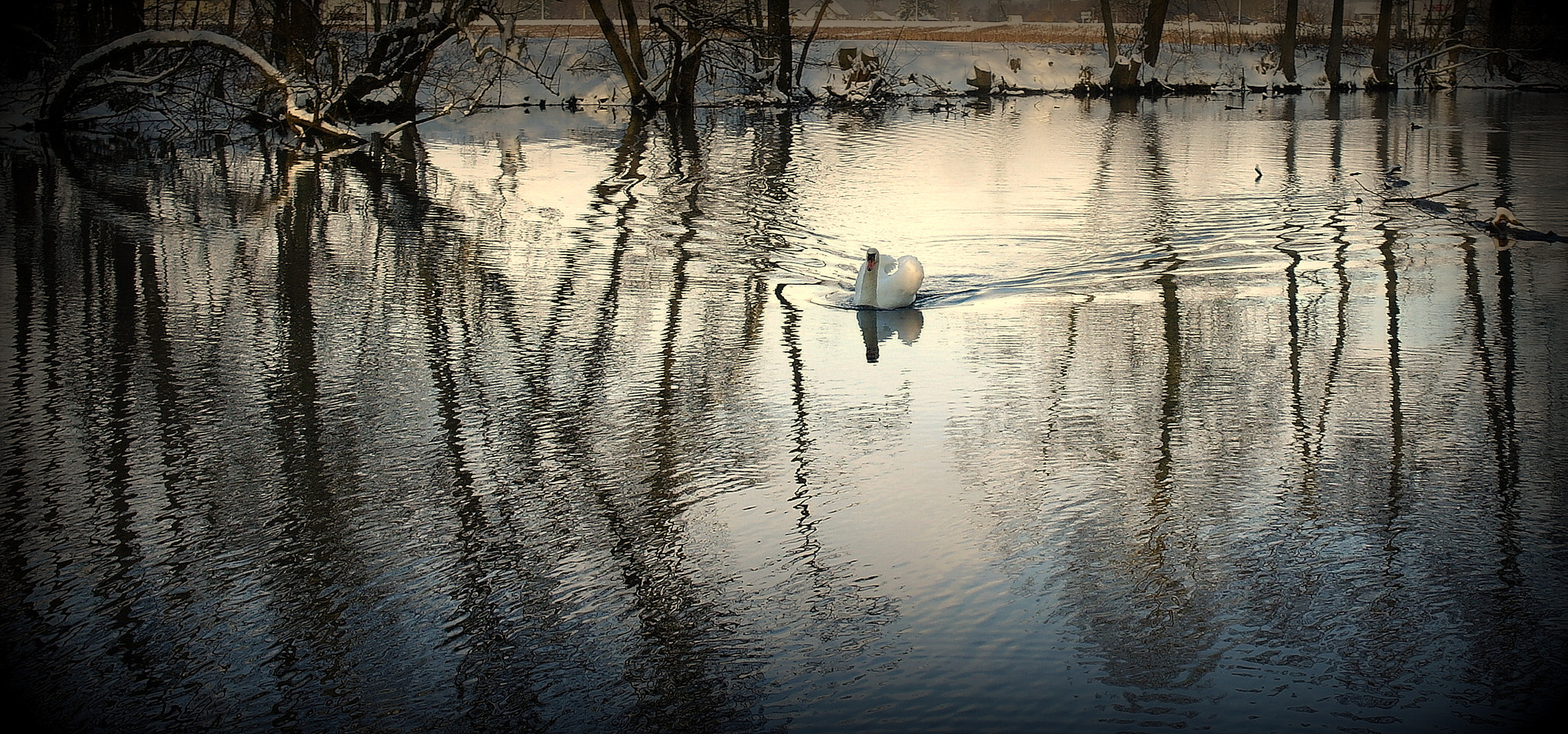 Samsung NX10 sample photo. "winterlicher enknach-weiher" photography