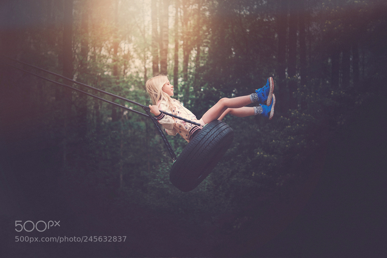 Nikon D610 sample photo. Swing photography