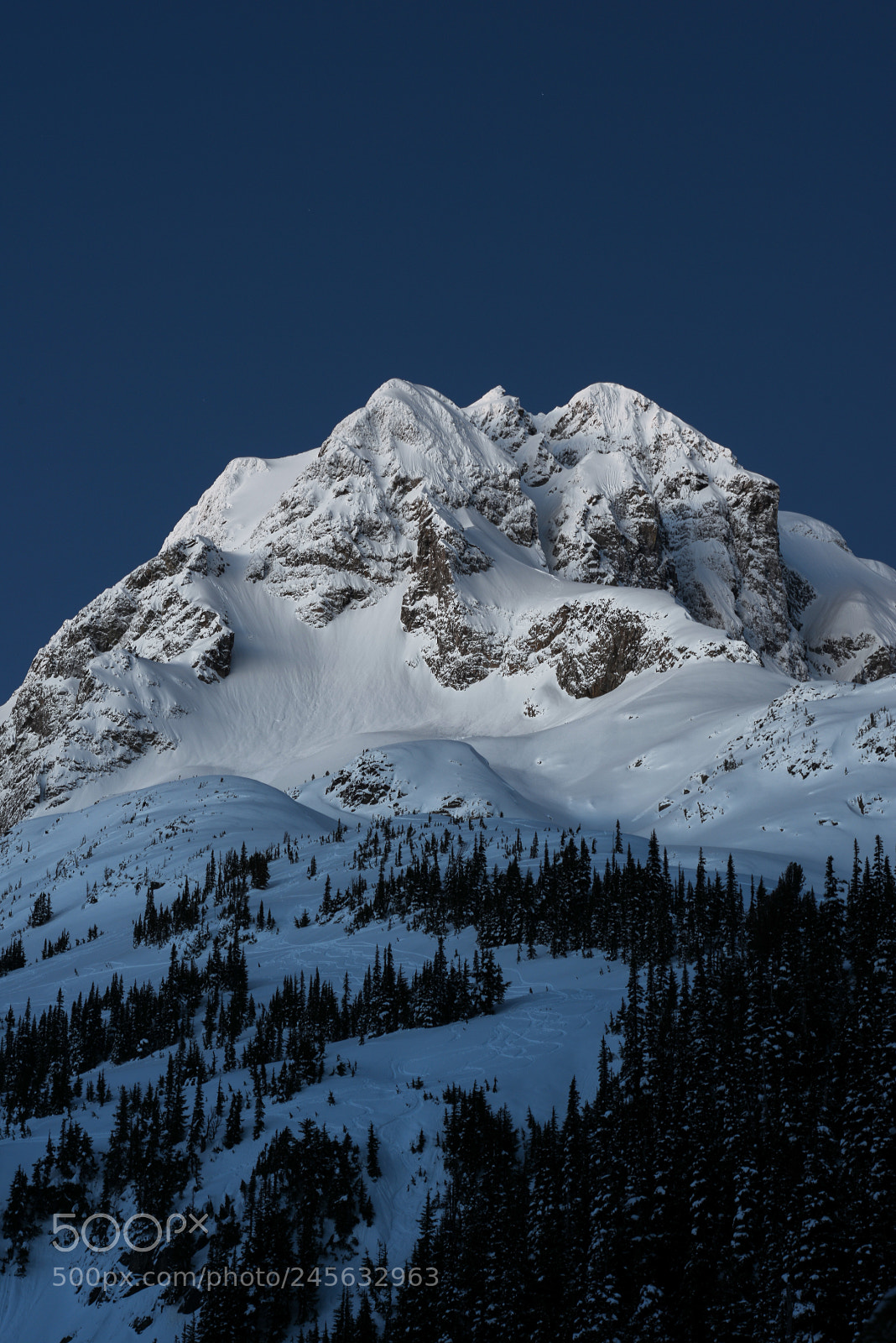 Nikon D800 sample photo. Earth photography