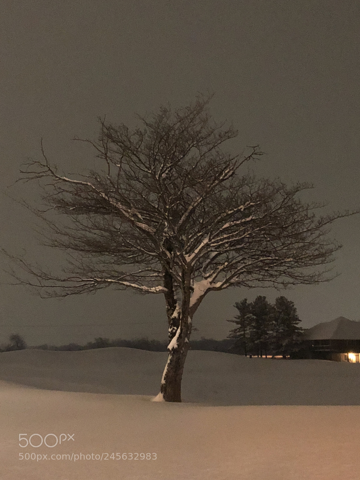 Apple iPhone X sample photo. Untitled photography