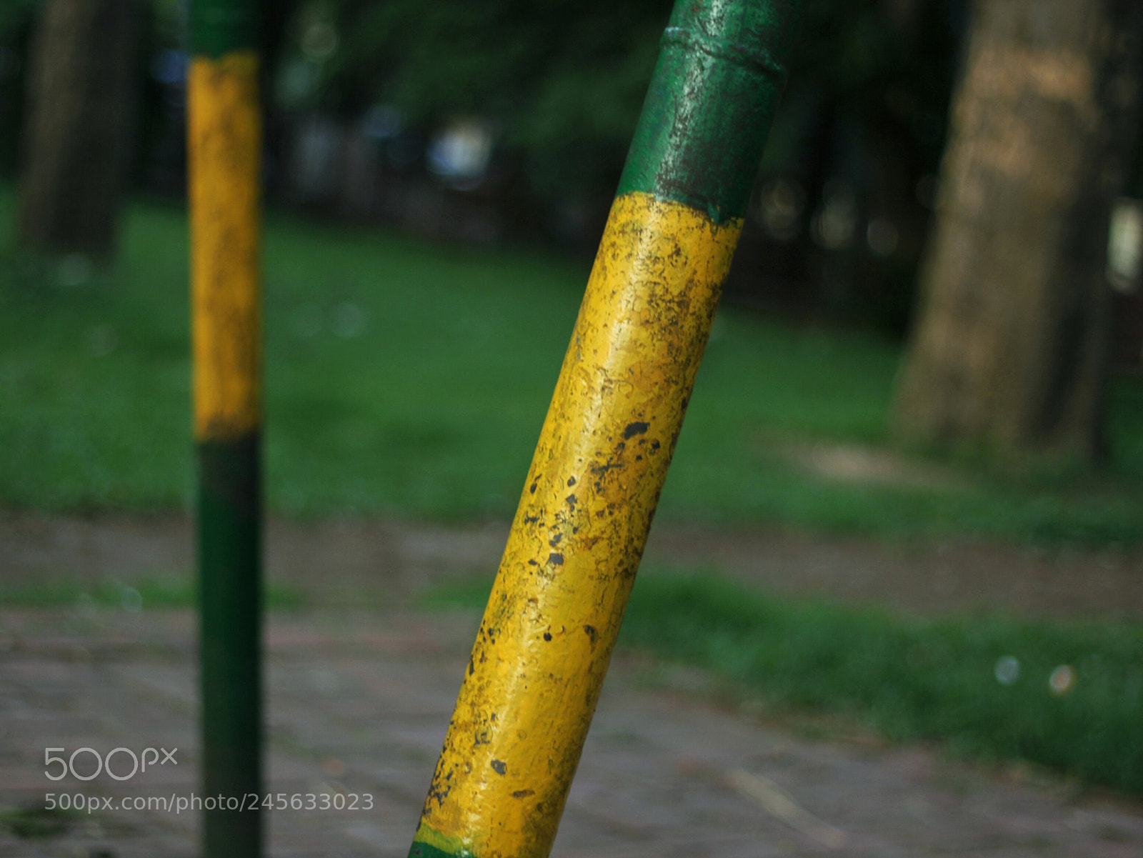 Canon EOS 550D (EOS Rebel T2i / EOS Kiss X4) sample photo. In absentia photography