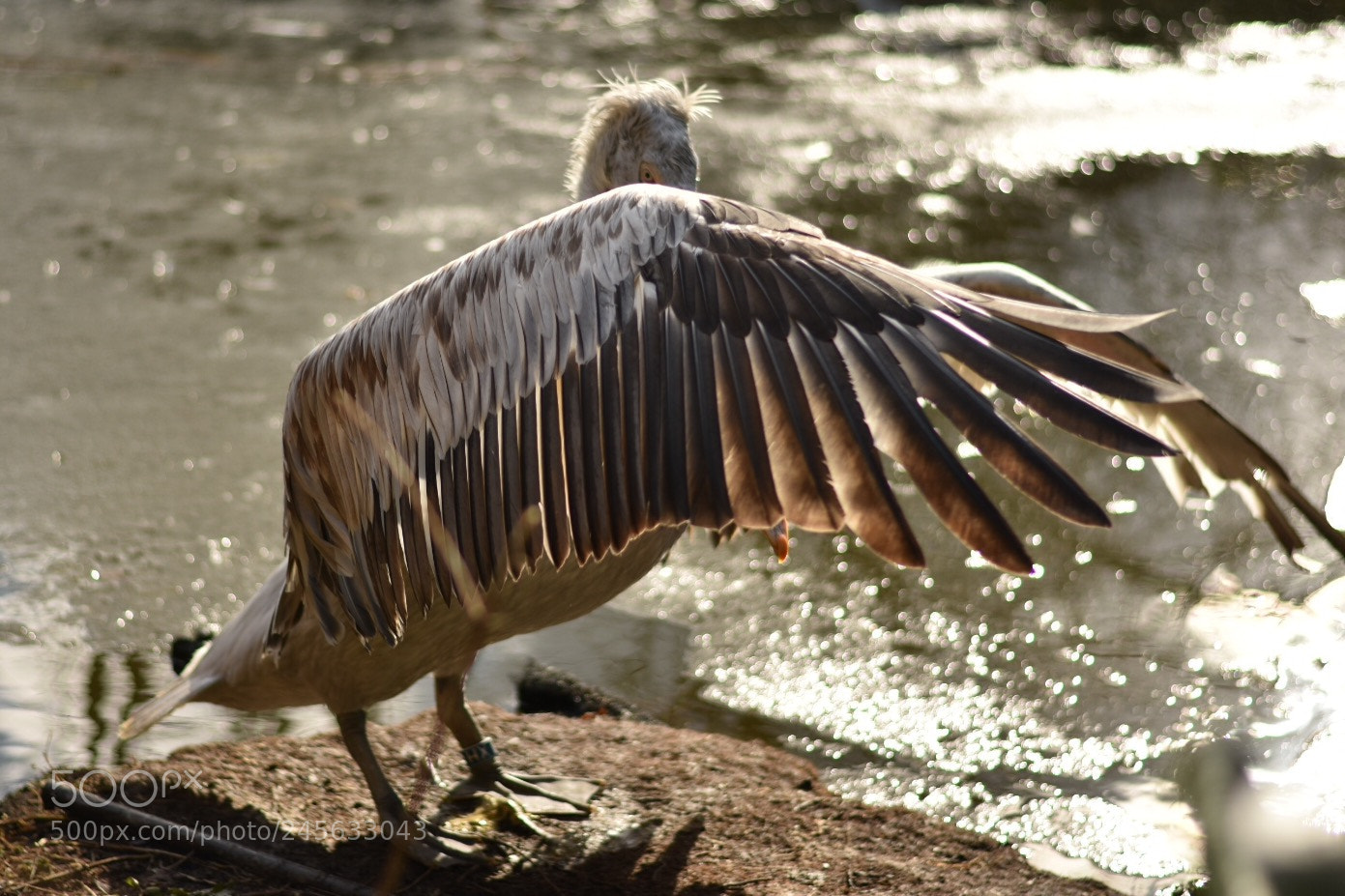 Nikon D3400 sample photo. Untitled photography