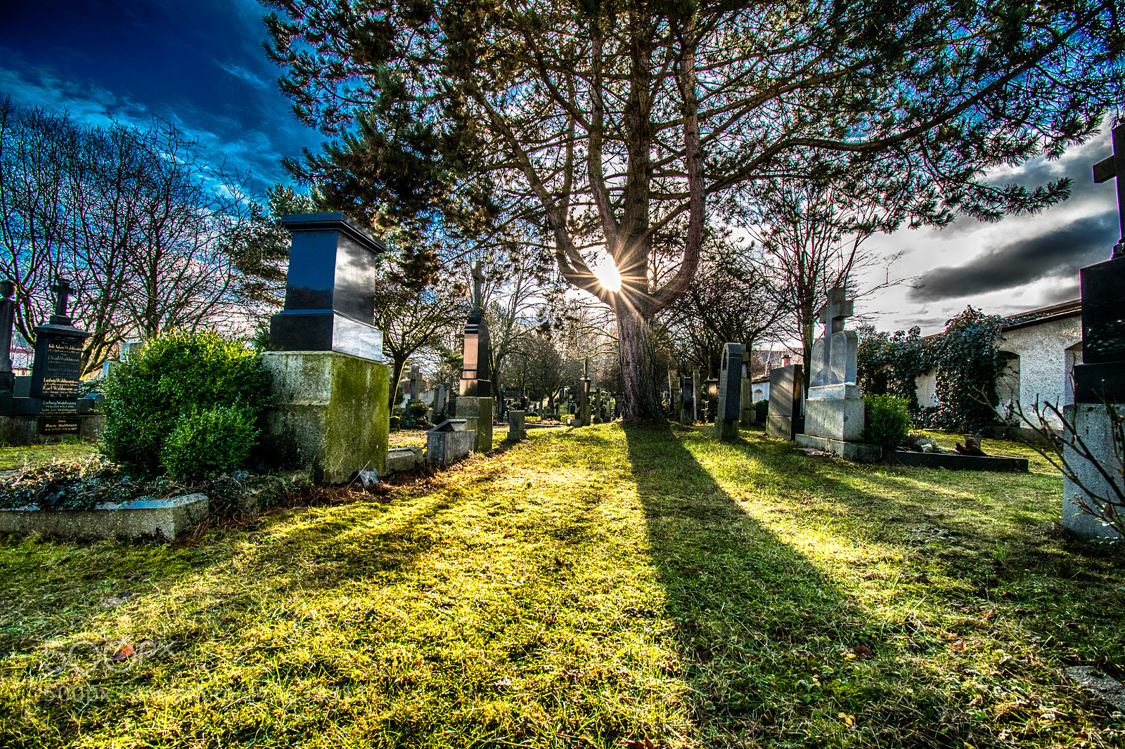 Nikon D5500 sample photo. Cemetery shadow photography