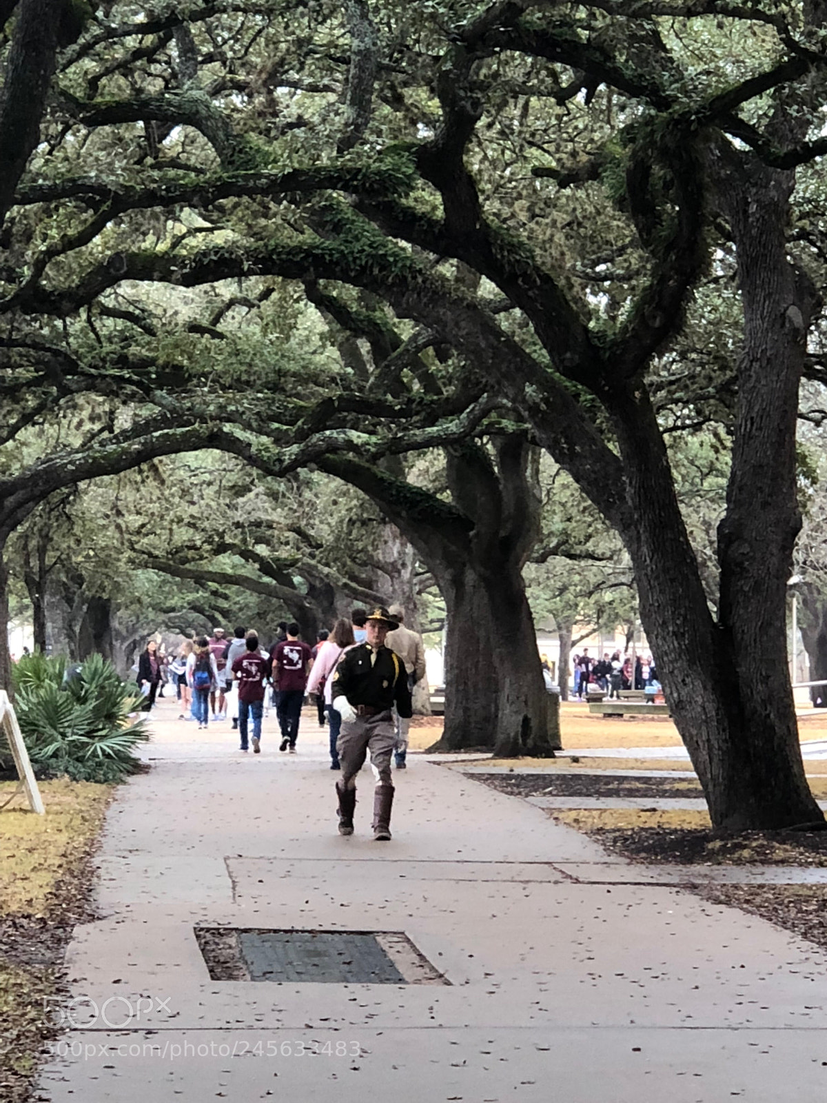 Apple iPhone X sample photo. In uniform photography