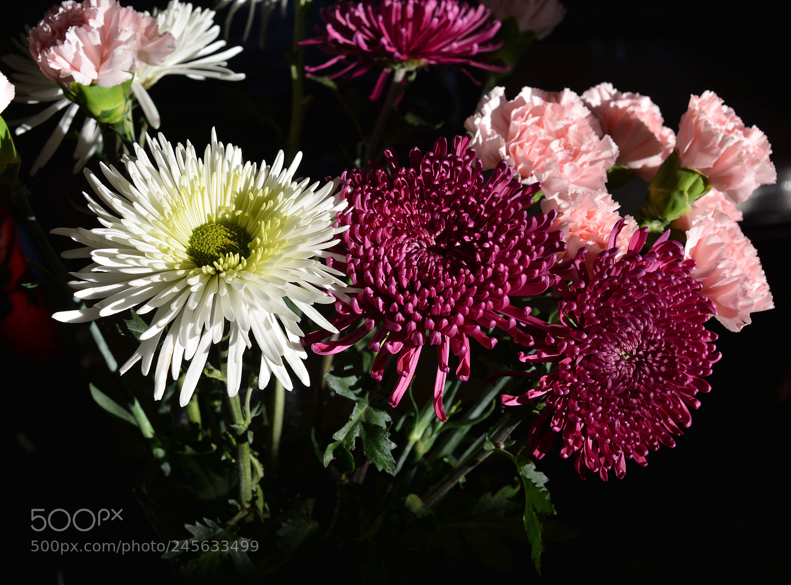 Nikon D7100 sample photo. Flowers for my birthday photography
