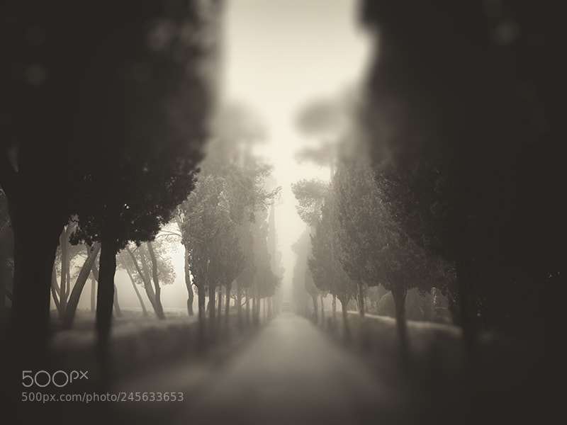 Hasselblad X1D-50c sample photo. Mount tabor photography