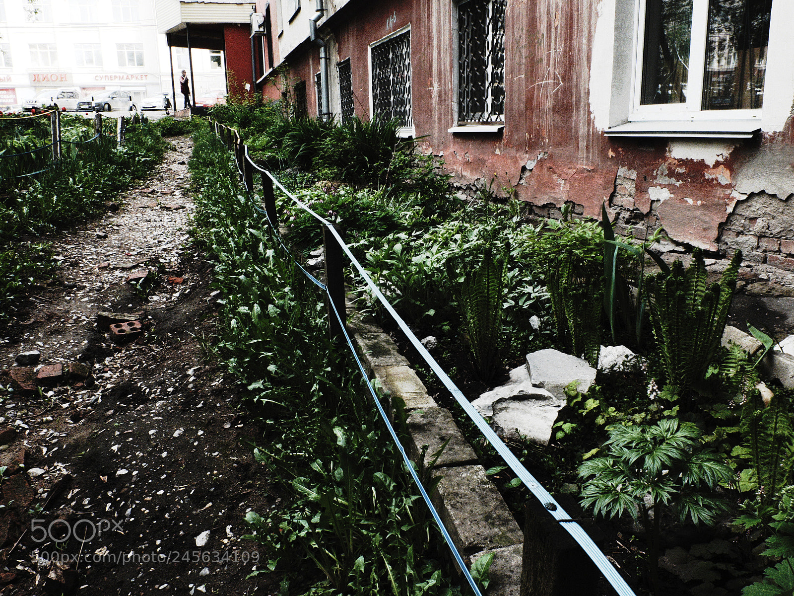 Fujifilm X20 sample photo. Палисадник frontage photography