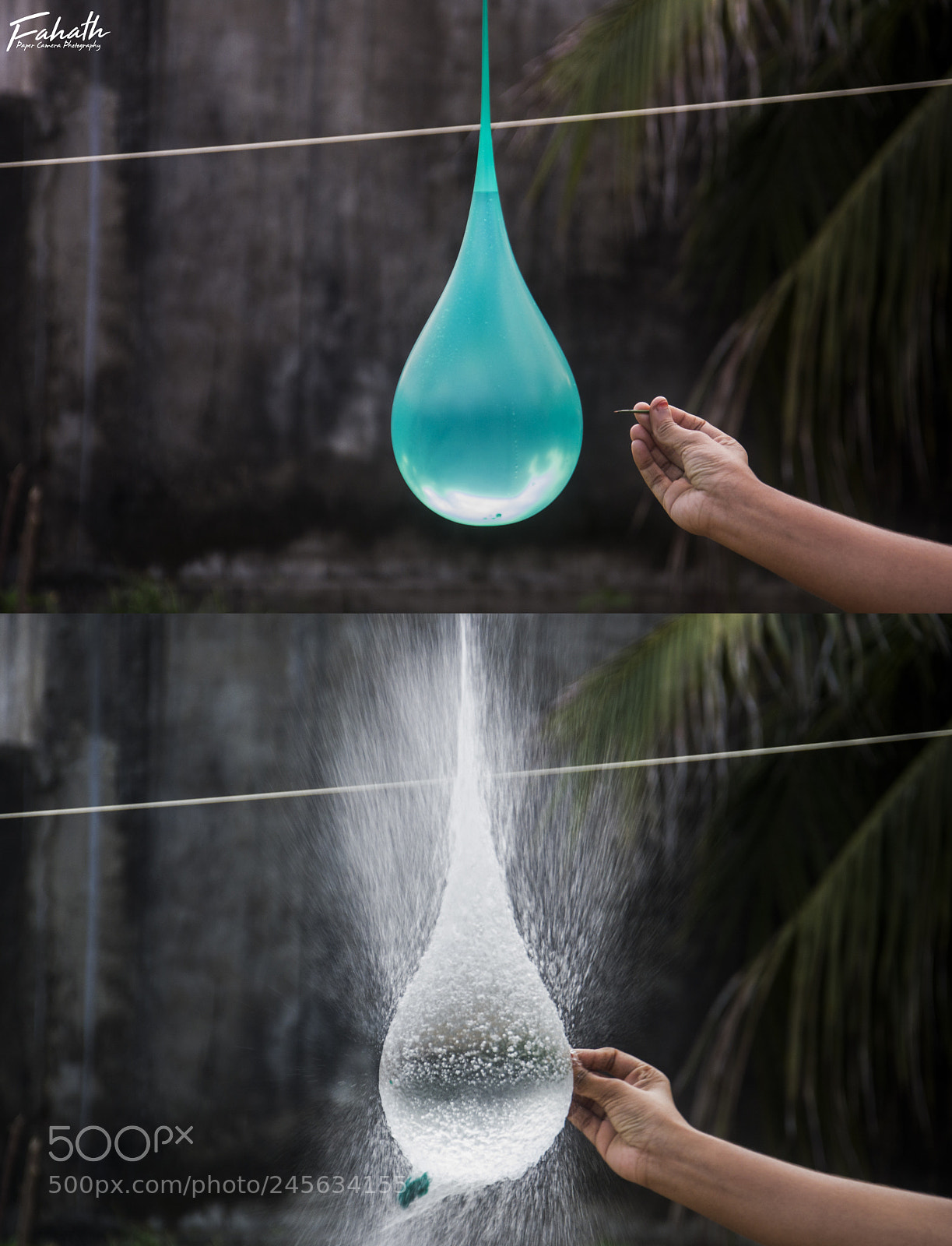 Nikon D3100 sample photo. Untitled photography