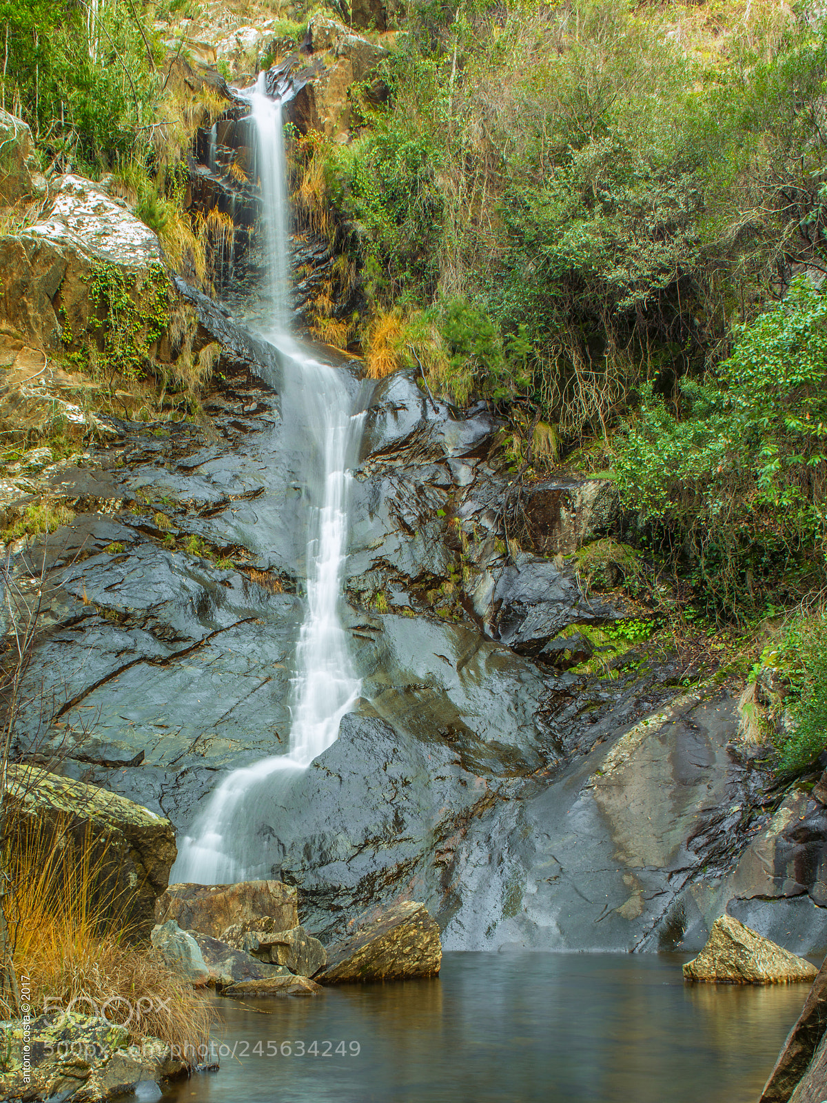Nikon D600 sample photo. Water photography