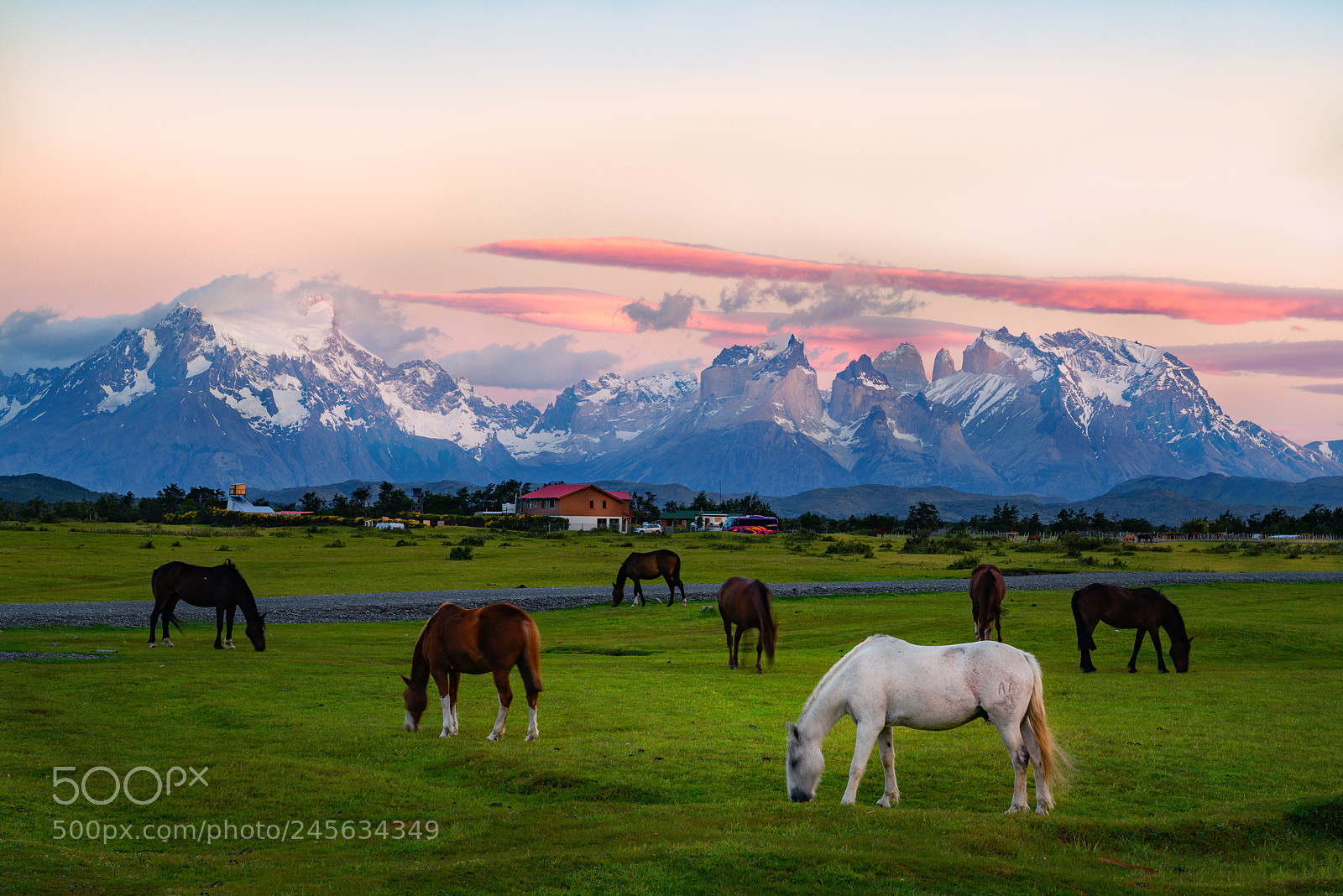 Nikon D850 sample photo. Torres del paine, patagonia photography