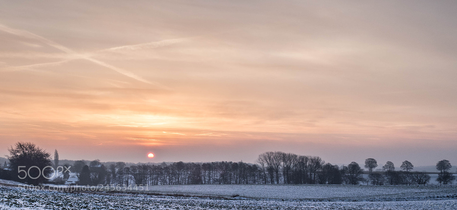 Olympus OM-D E-M10 II sample photo. Le soleil ne chauffe photography
