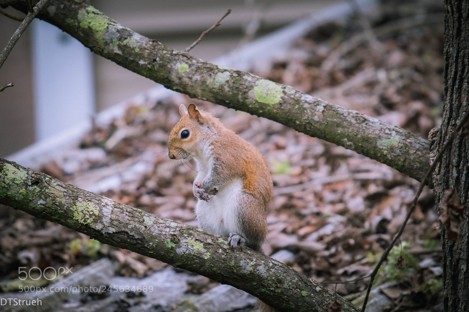 Nikon D7200 sample photo. Oh, hello photography