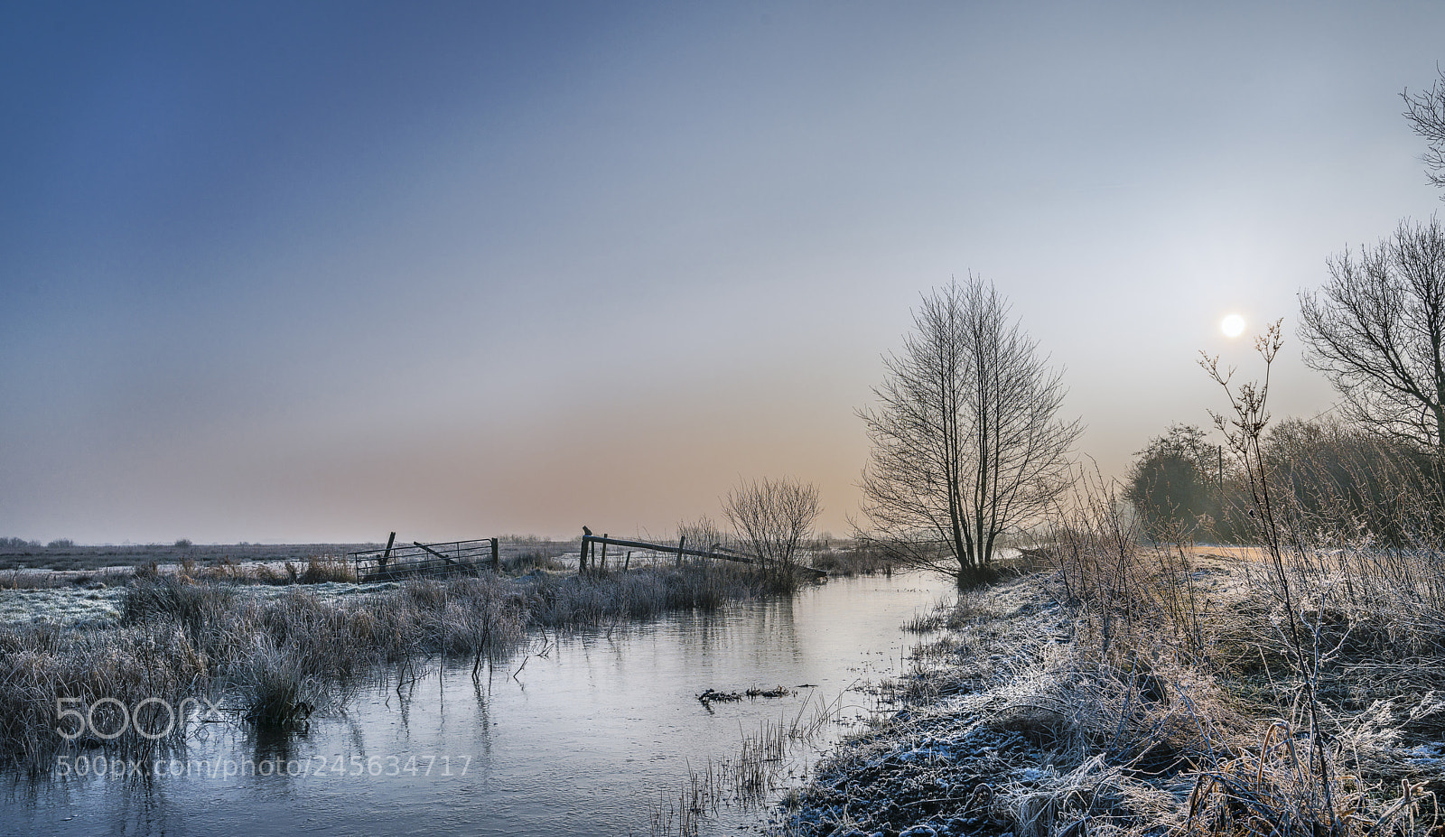 Sony a7R II sample photo. Iceage ii photography