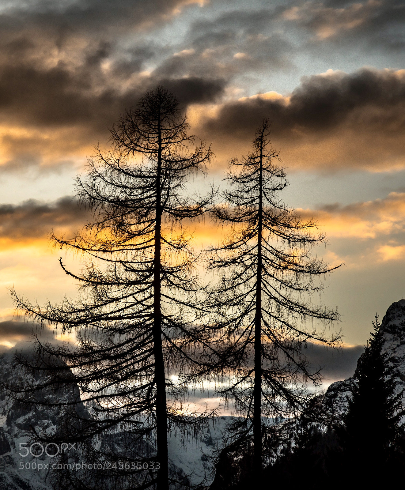 Nikon D500 sample photo. Un freddo tramonto photography