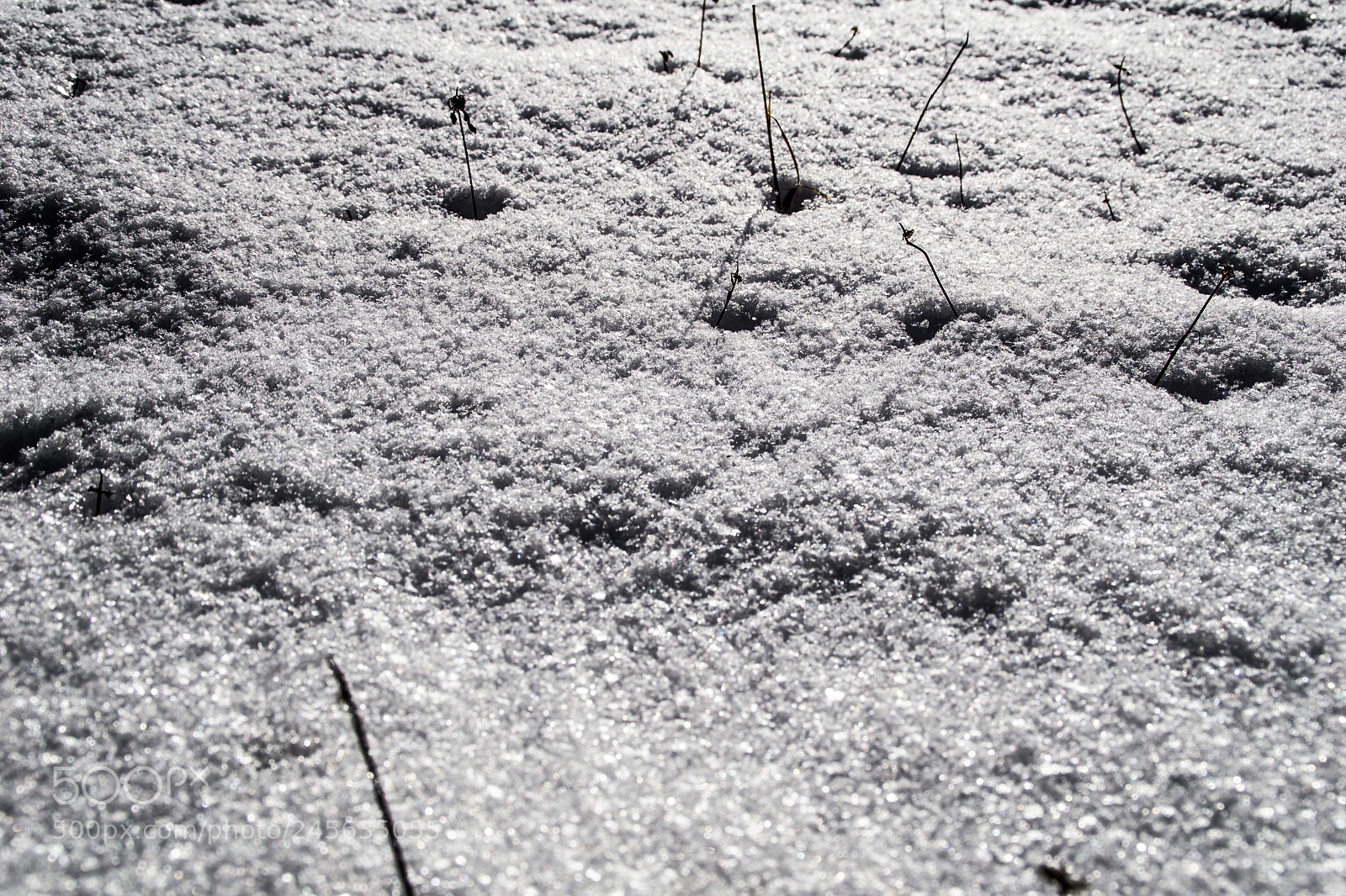 Sony a5100 sample photo. Walking on castione pt5 photography