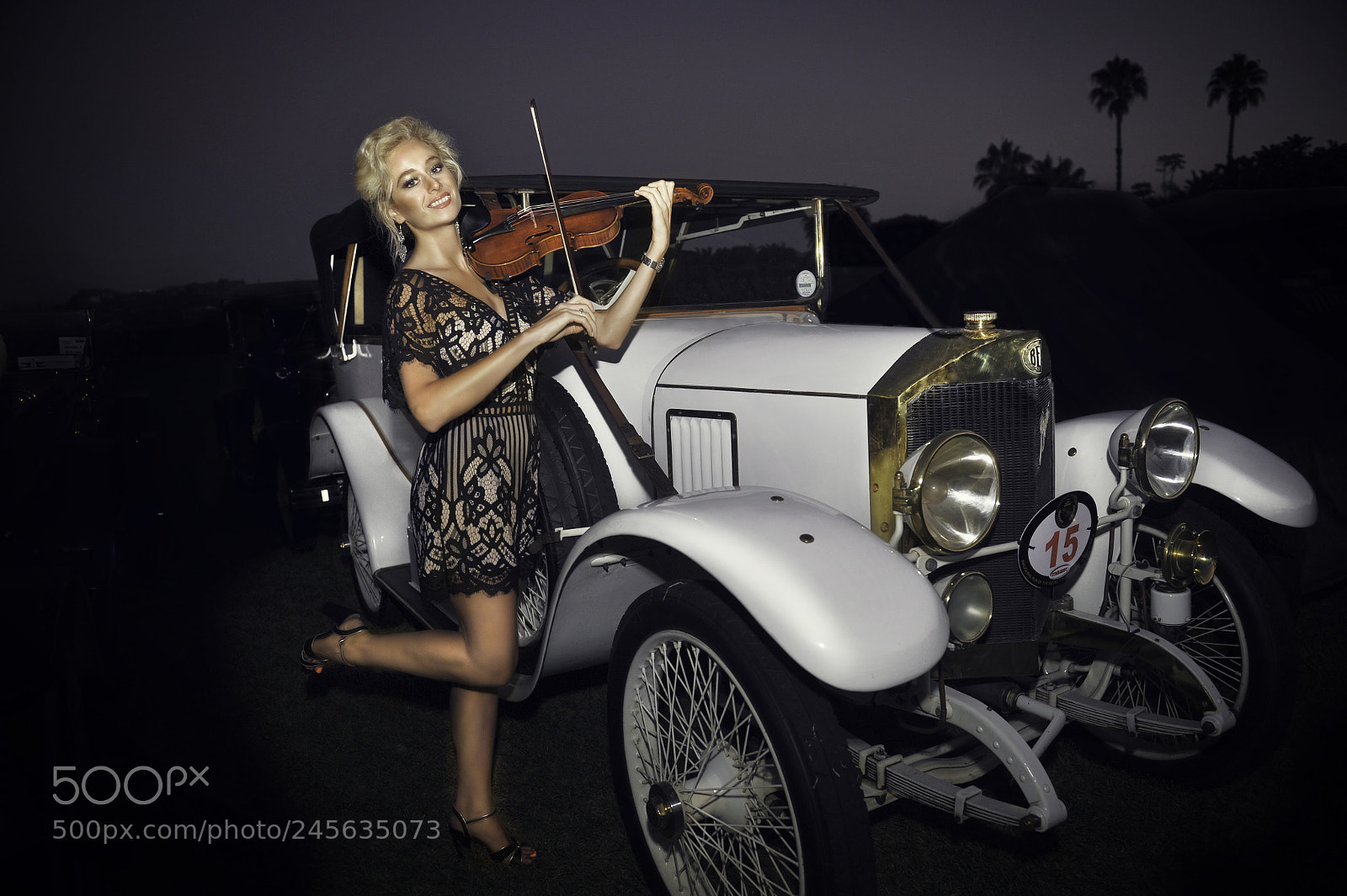 Nikon D700 sample photo. Playing violin at the photography