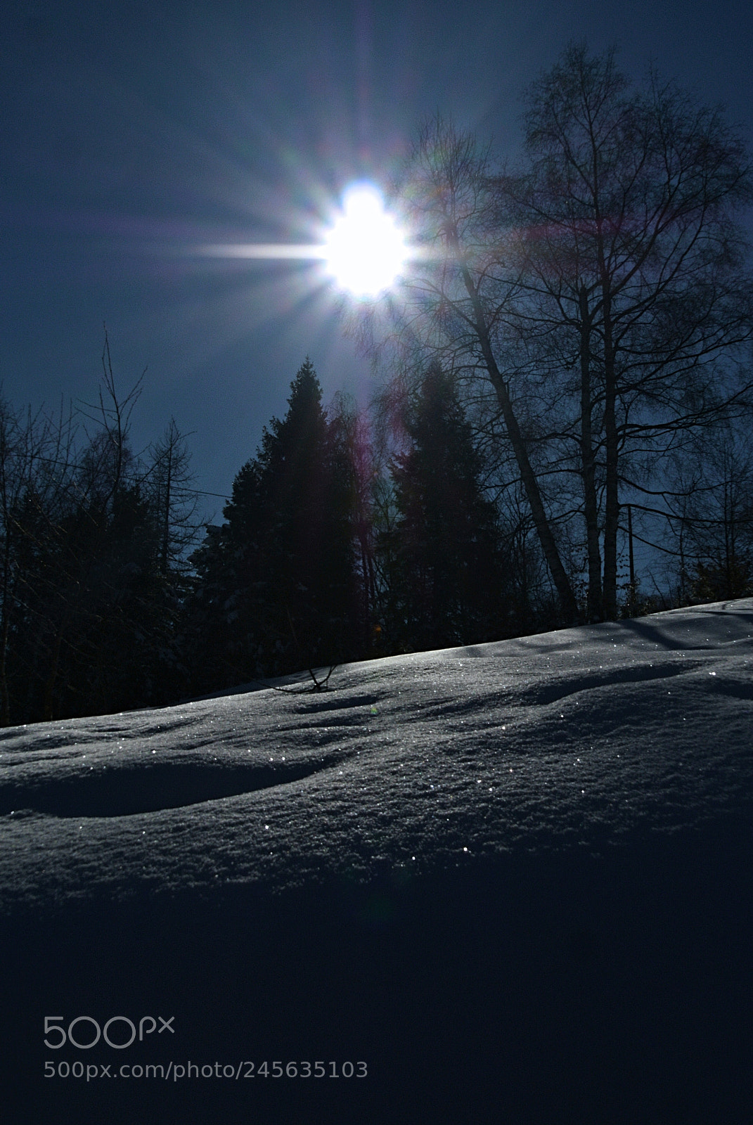 Nikon 1 V1 sample photo. Bright snow photography