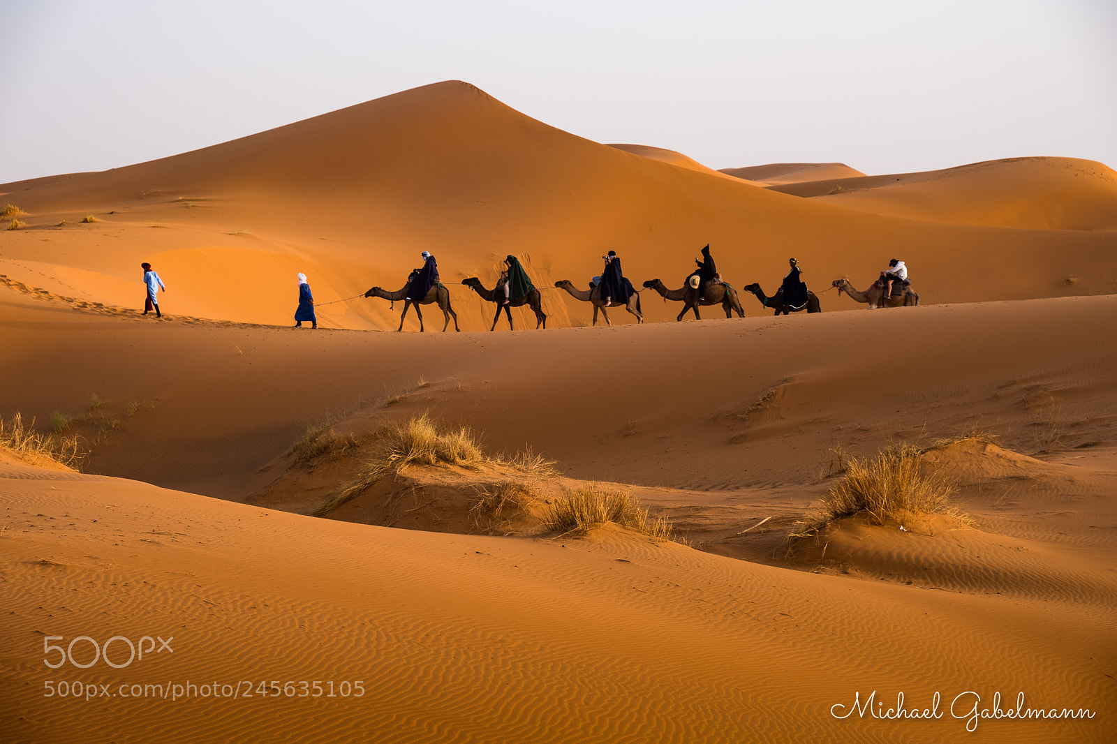Fujifilm X-T20 sample photo. Camel train photography