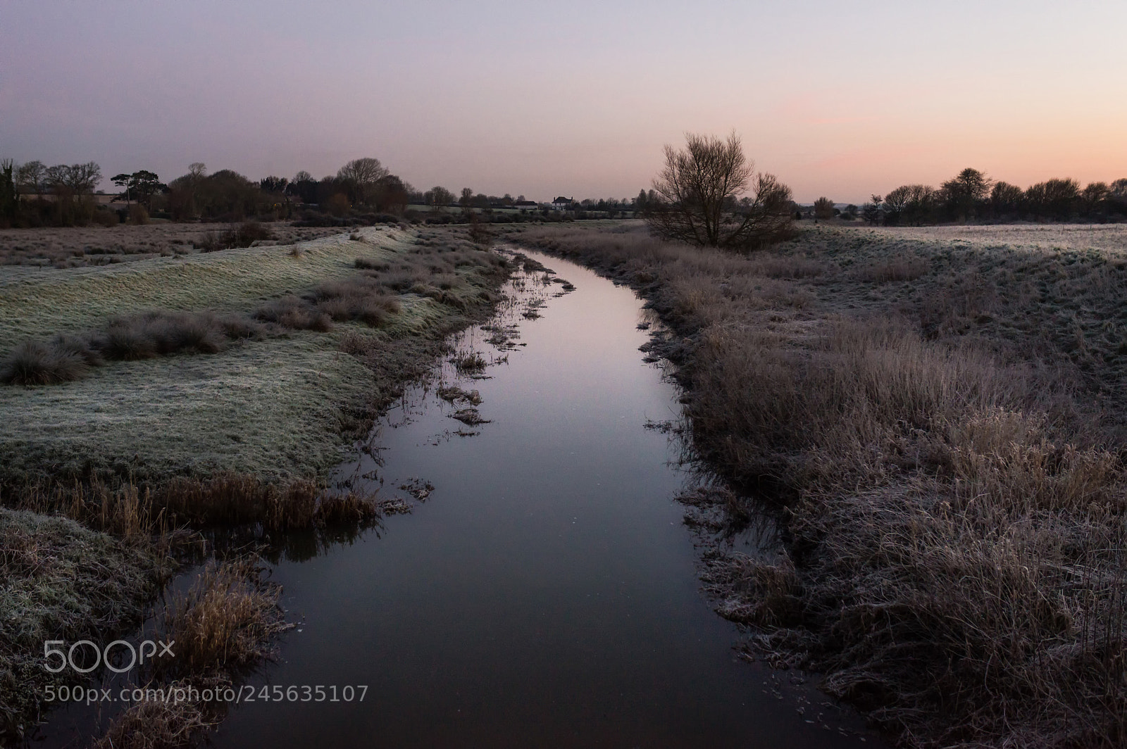 Nikon D610 sample photo. On my way photography
