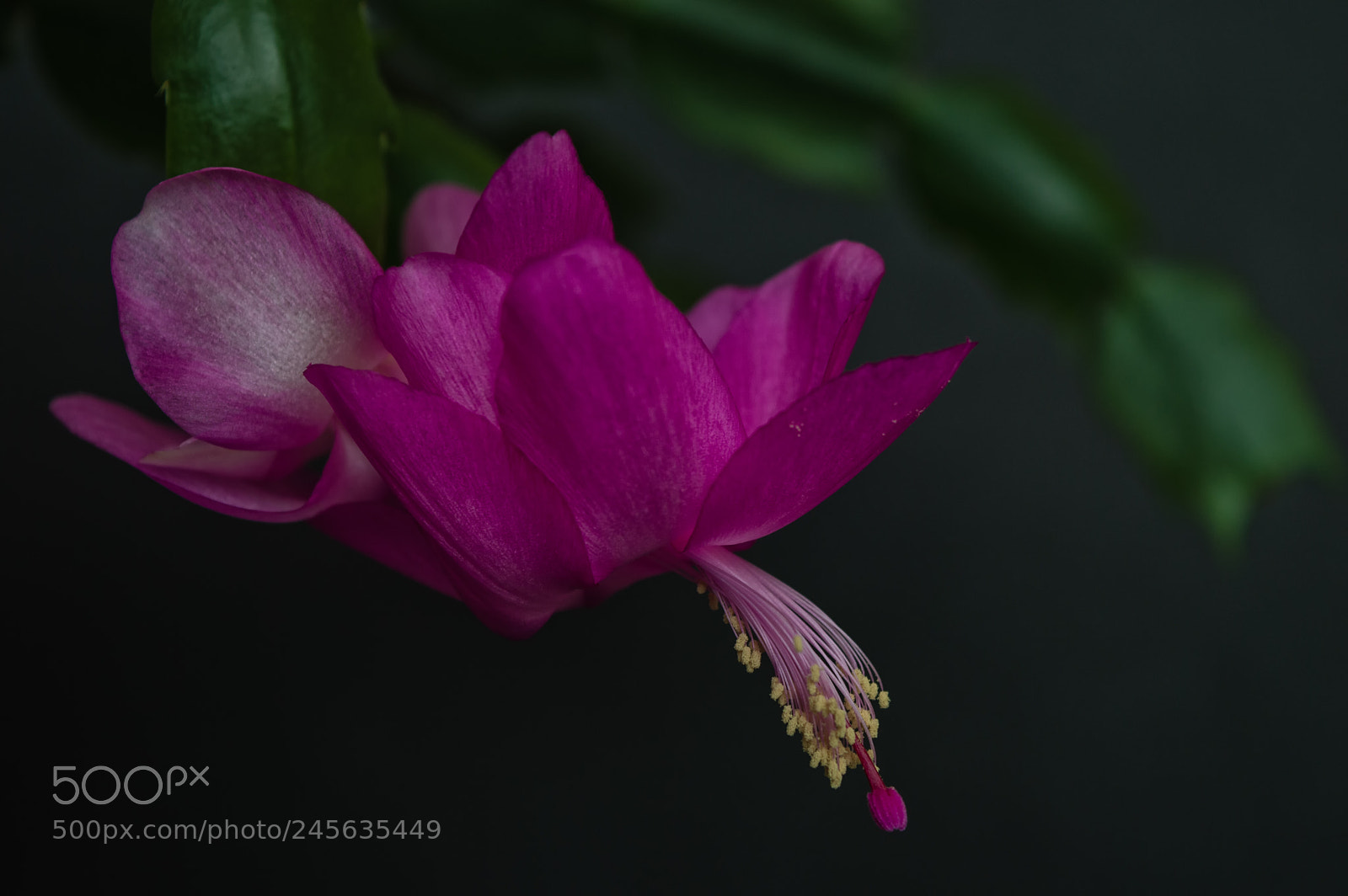 Nikon D3200 sample photo. All directions suit me photography