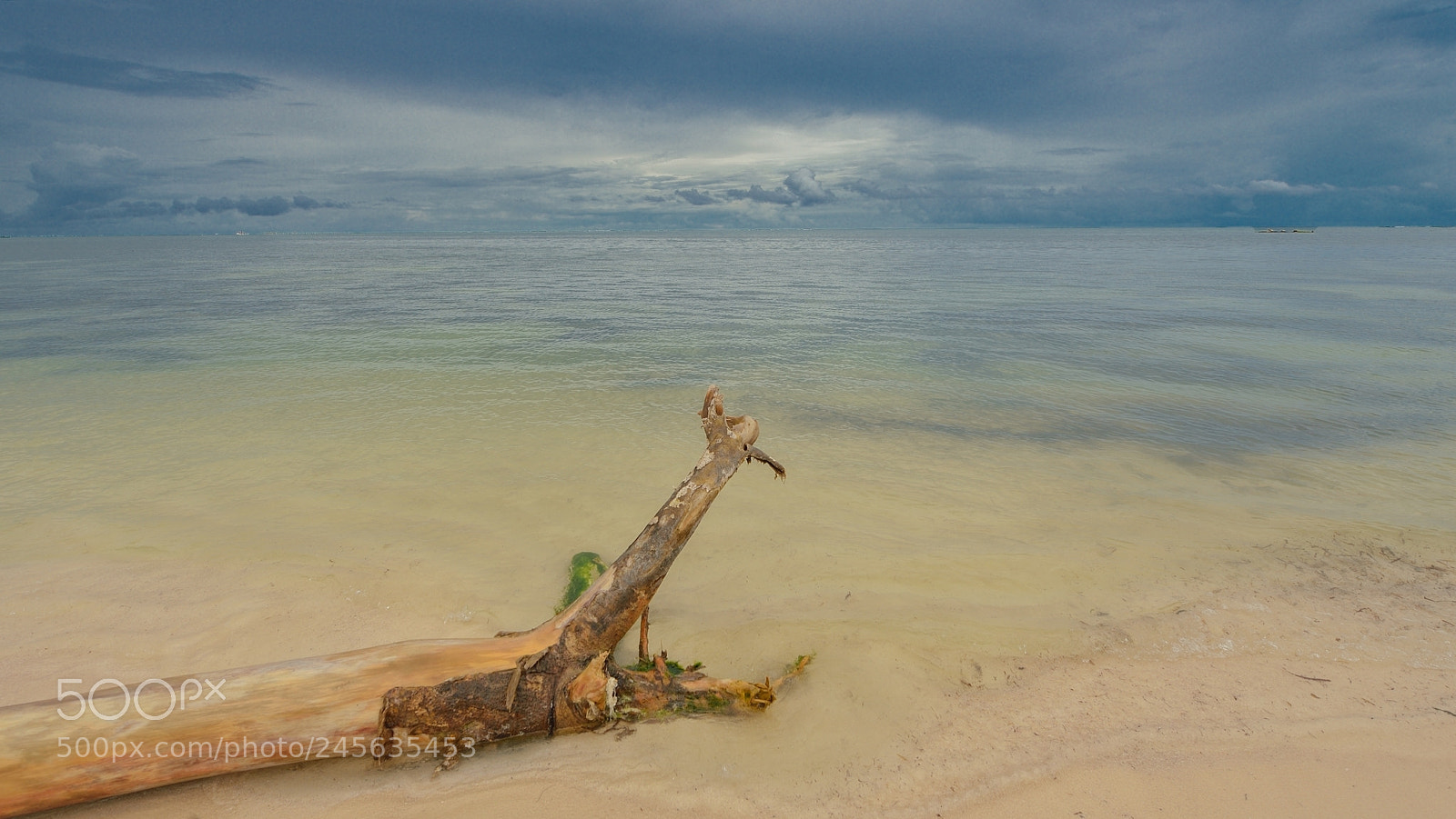 Nikon D4 sample photo. Punta cana - rep photography