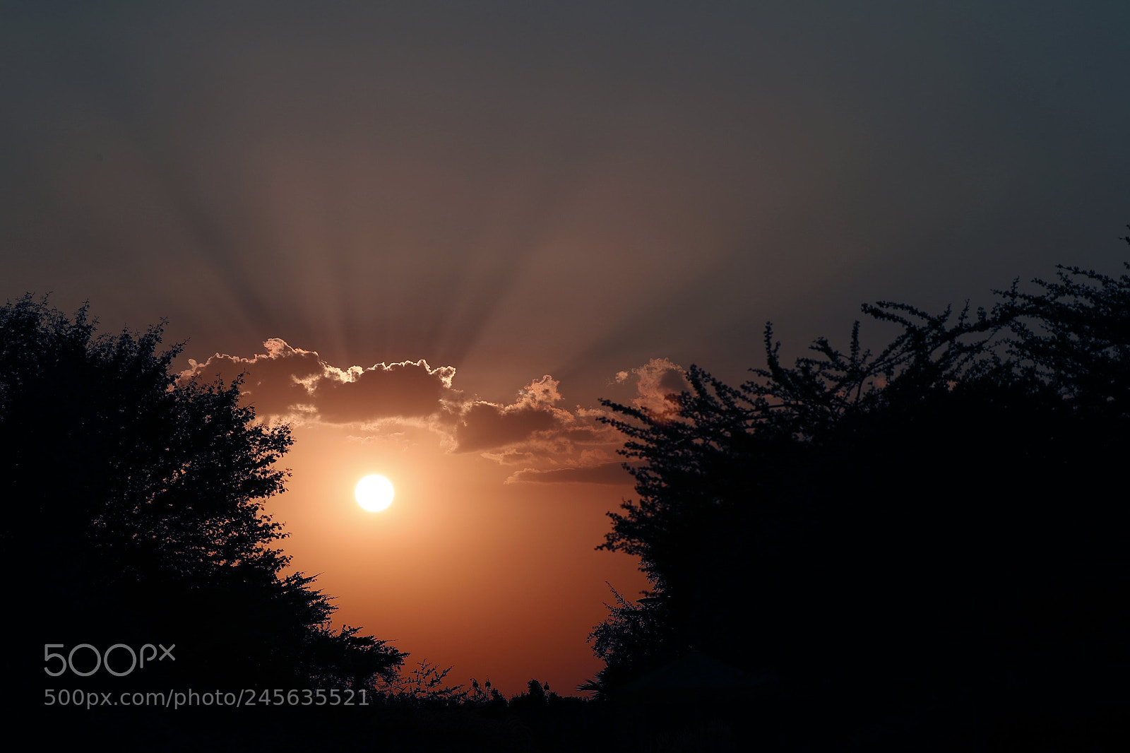 Canon EOS-1D X Mark II sample photo. Evening photography