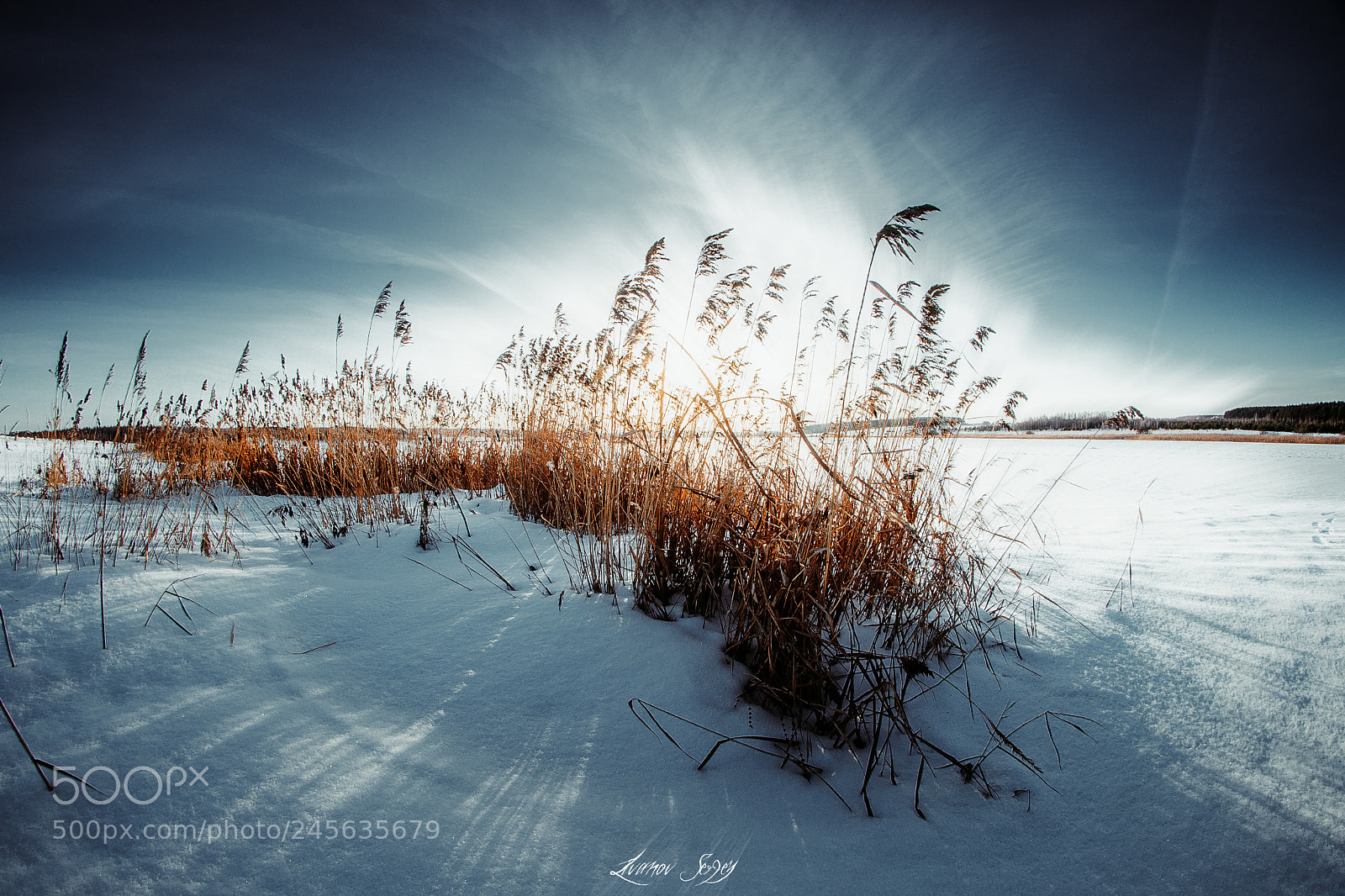 Nikon D600 sample photo. Winter sunset photography