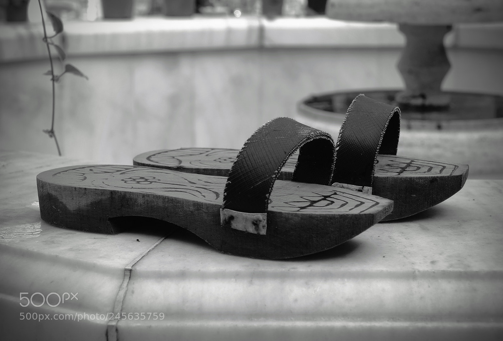 Sony Alpha NEX-5N sample photo. The bathing clogs photography