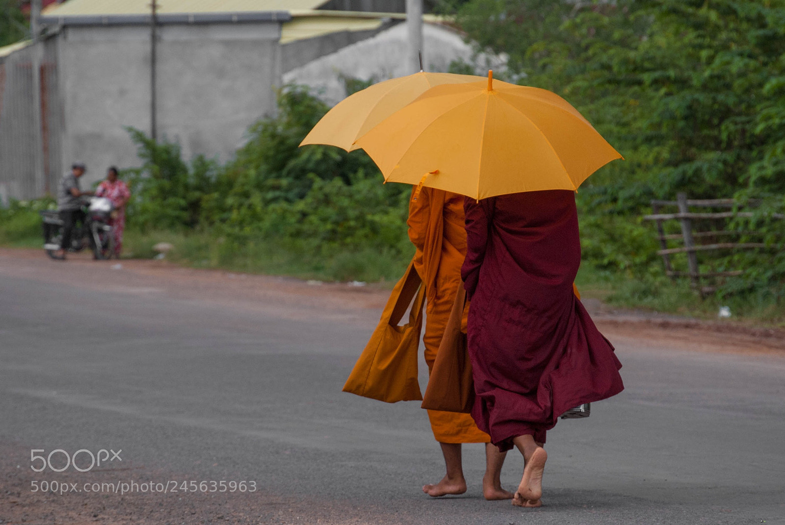 Nikon D3000 sample photo. Monks in kampot photography