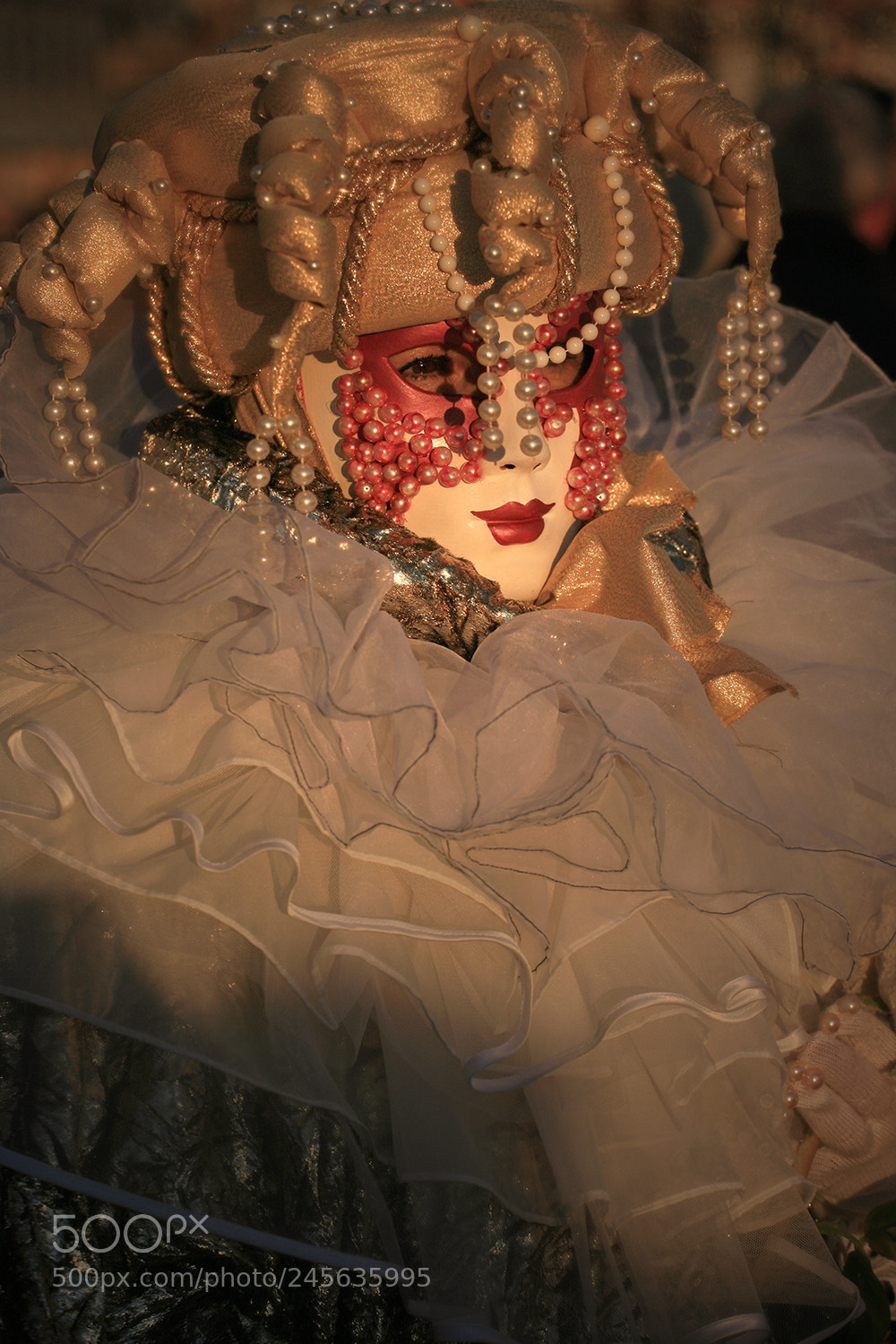 Canon EOS 5D sample photo. Carnival of venice photography