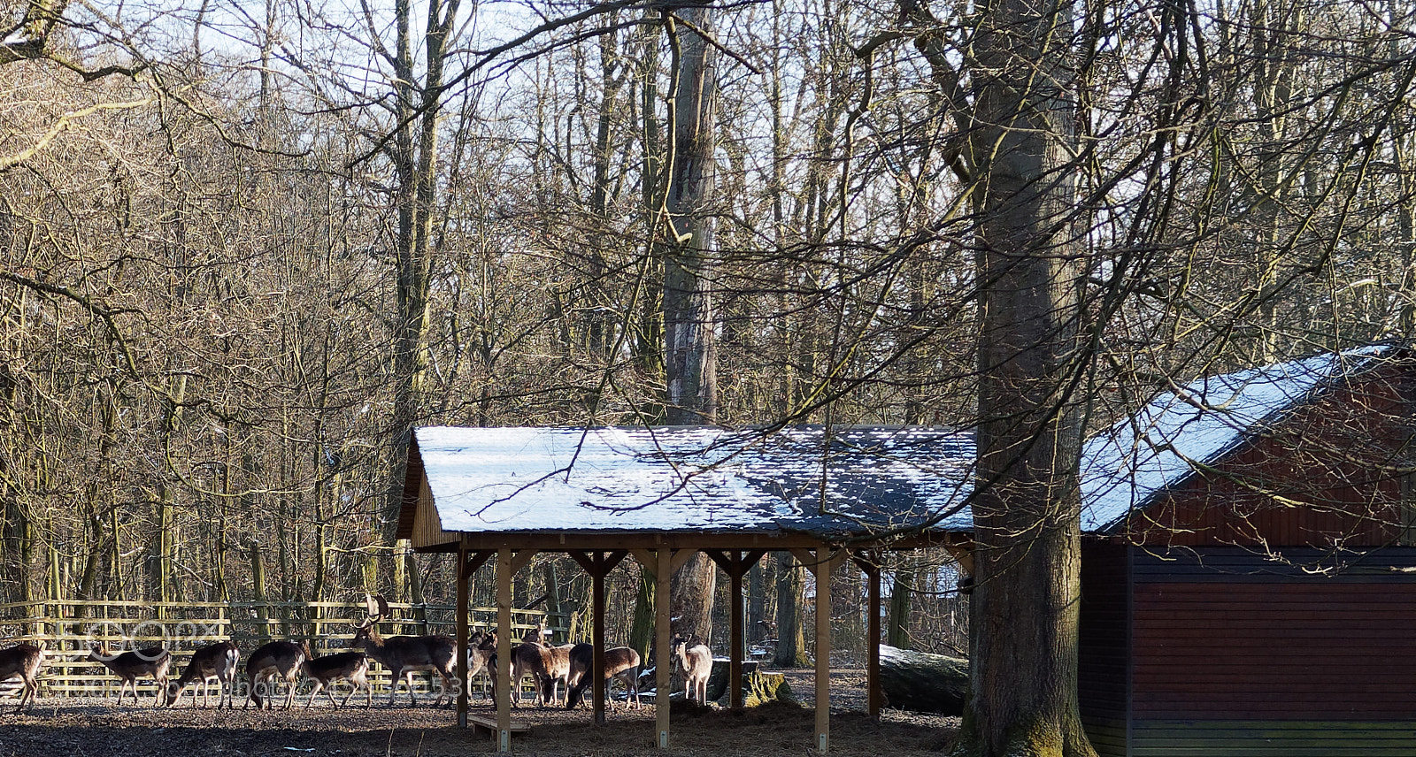 Olympus OM-D E-M5 sample photo. Bs-riddagshausen, tiergehege photography