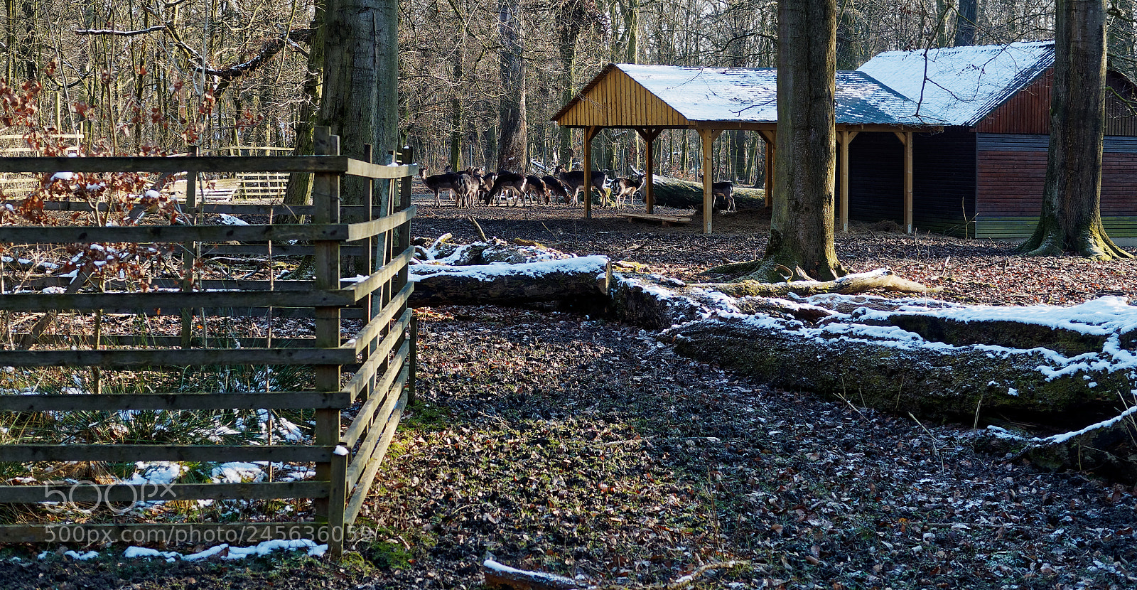 Olympus OM-D E-M5 sample photo. Bs-riddagshausen, tiergehege photography