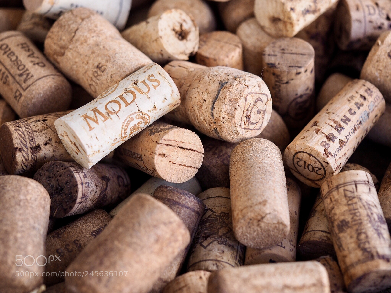 Olympus OM-D E-M10 II sample photo. Wine cork photography