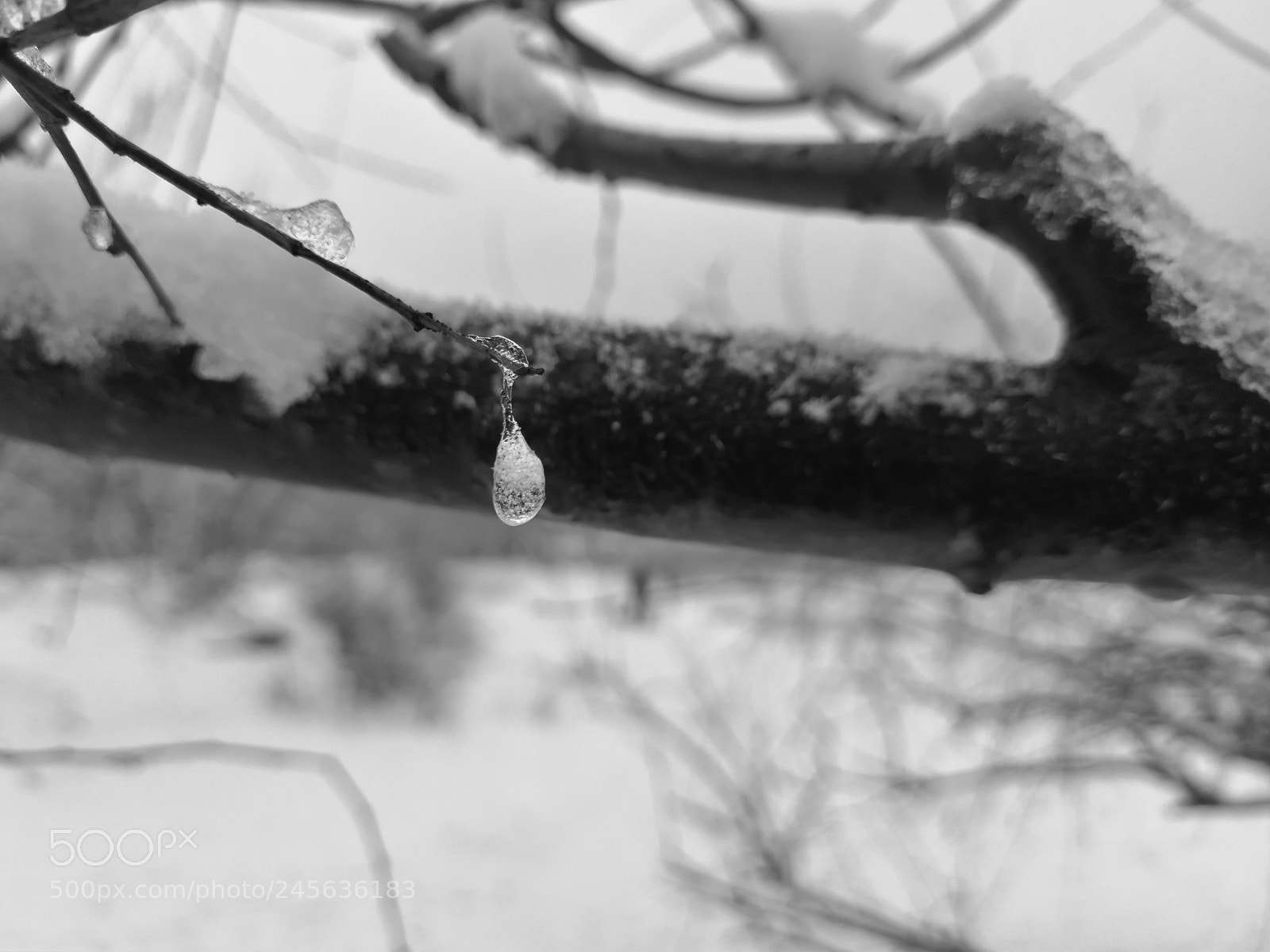 HUAWEI P10 Plus sample photo. Untitled photography