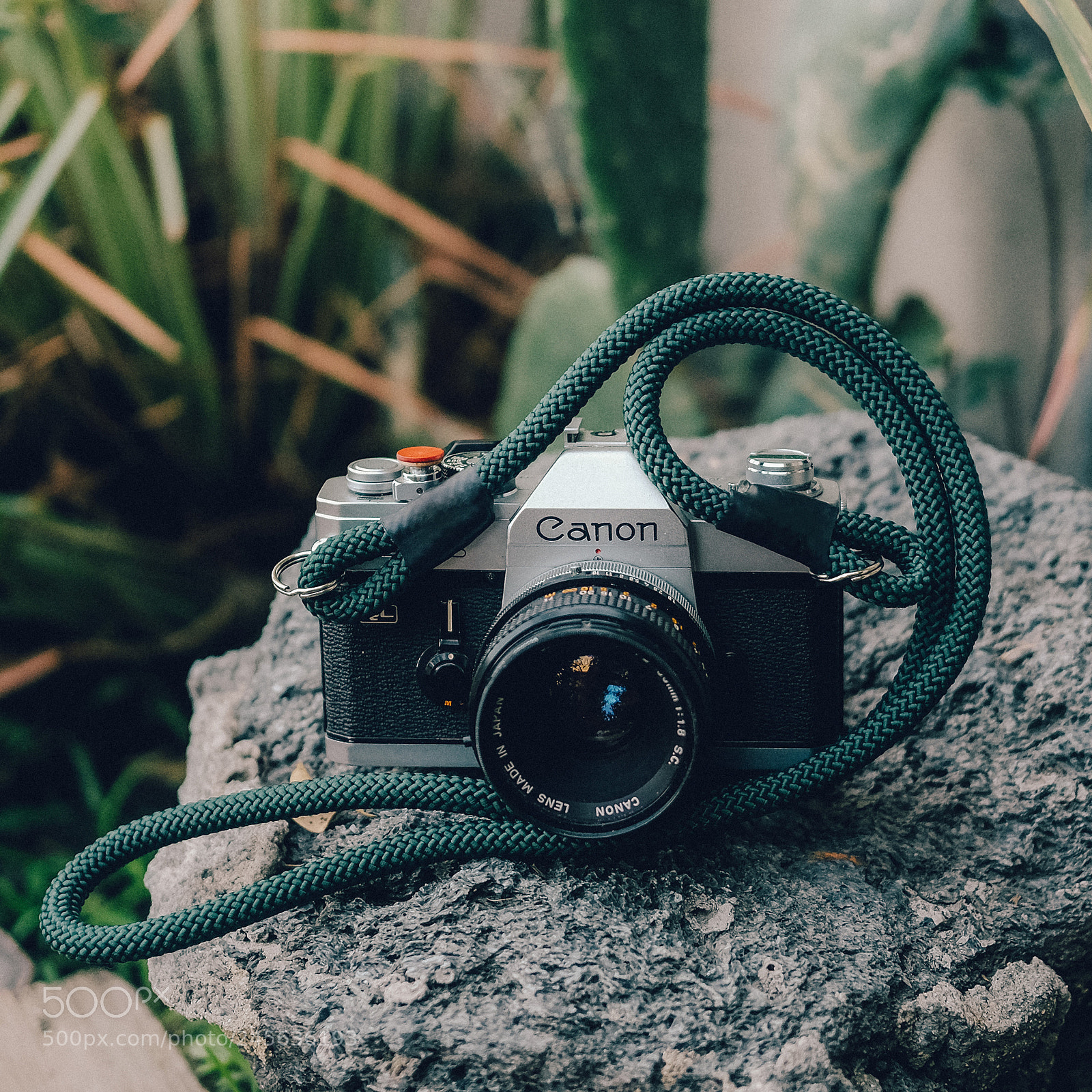 Fujifilm X-T10 sample photo. Hunter green shoulder strap photography