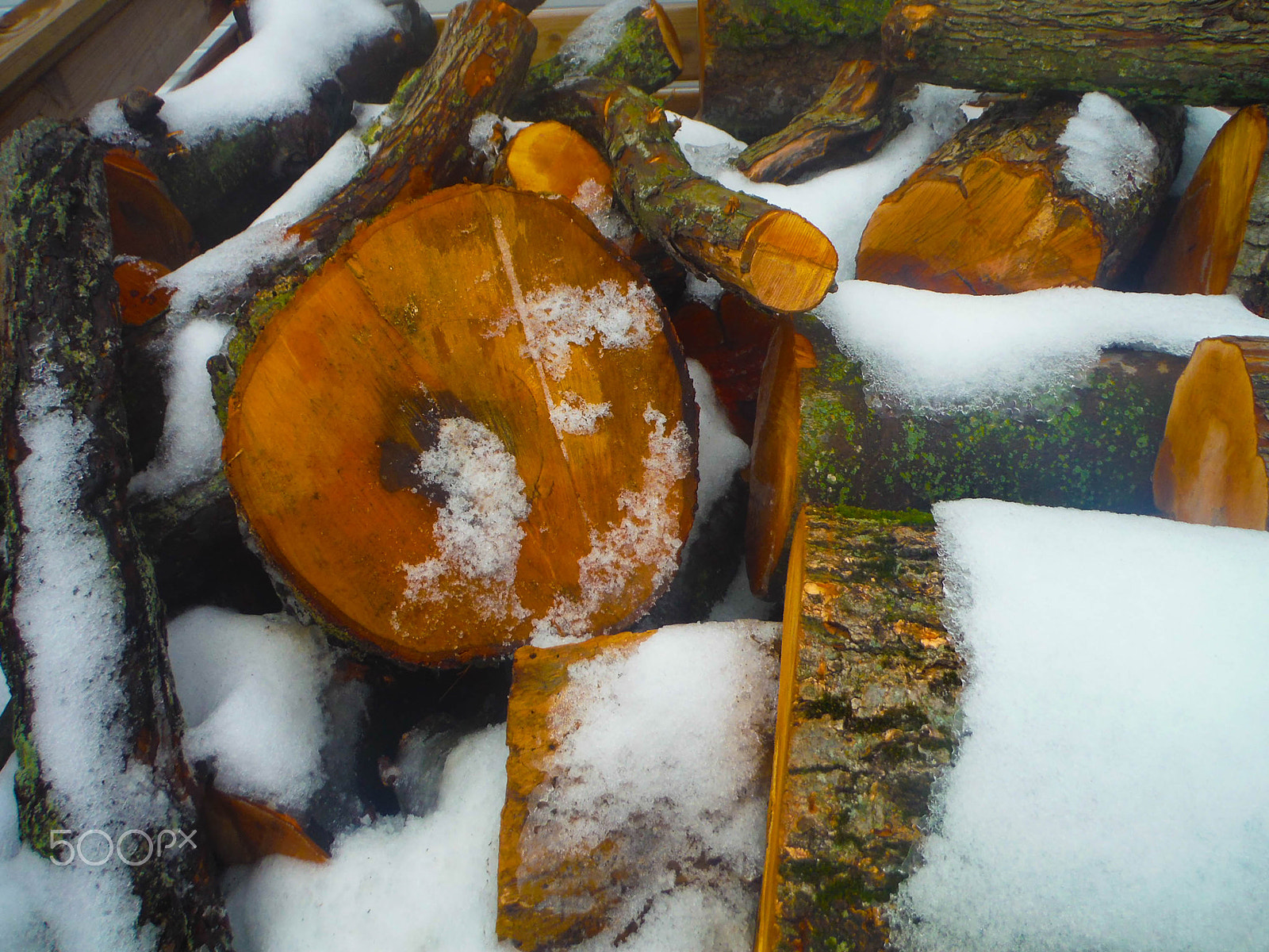 Fujifilm FinePix XP70 XP71 XP75 sample photo. Snowy woodpile photography