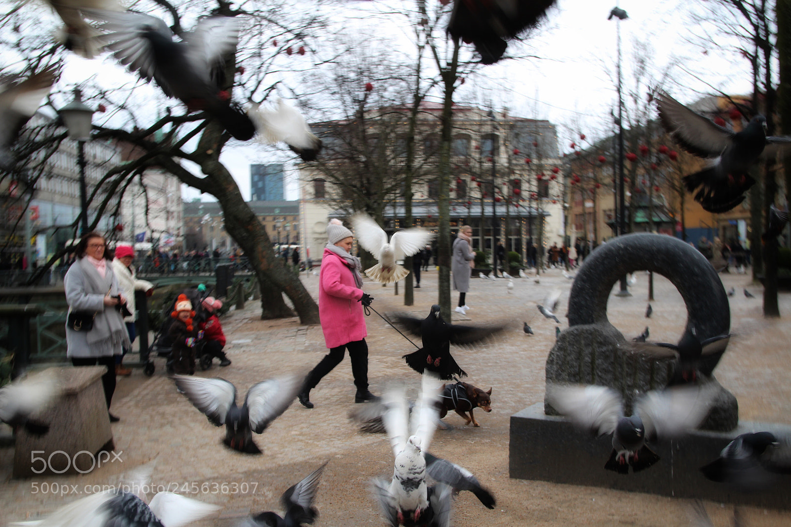 Canon EOS 650D (EOS Rebel T4i / EOS Kiss X6i) sample photo. Winter in gothenburg photography