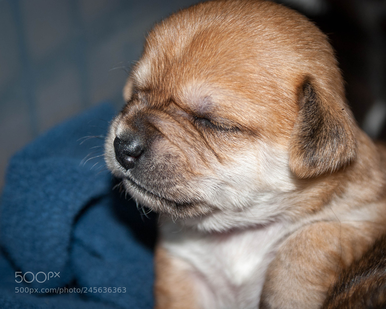 Nikon D200 sample photo. Ewww photography