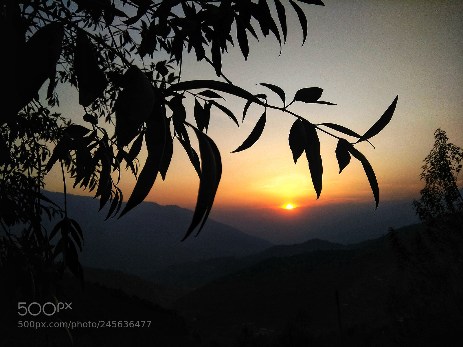 Xiaomi Redmi Note 4 sample photo. Untitled photography